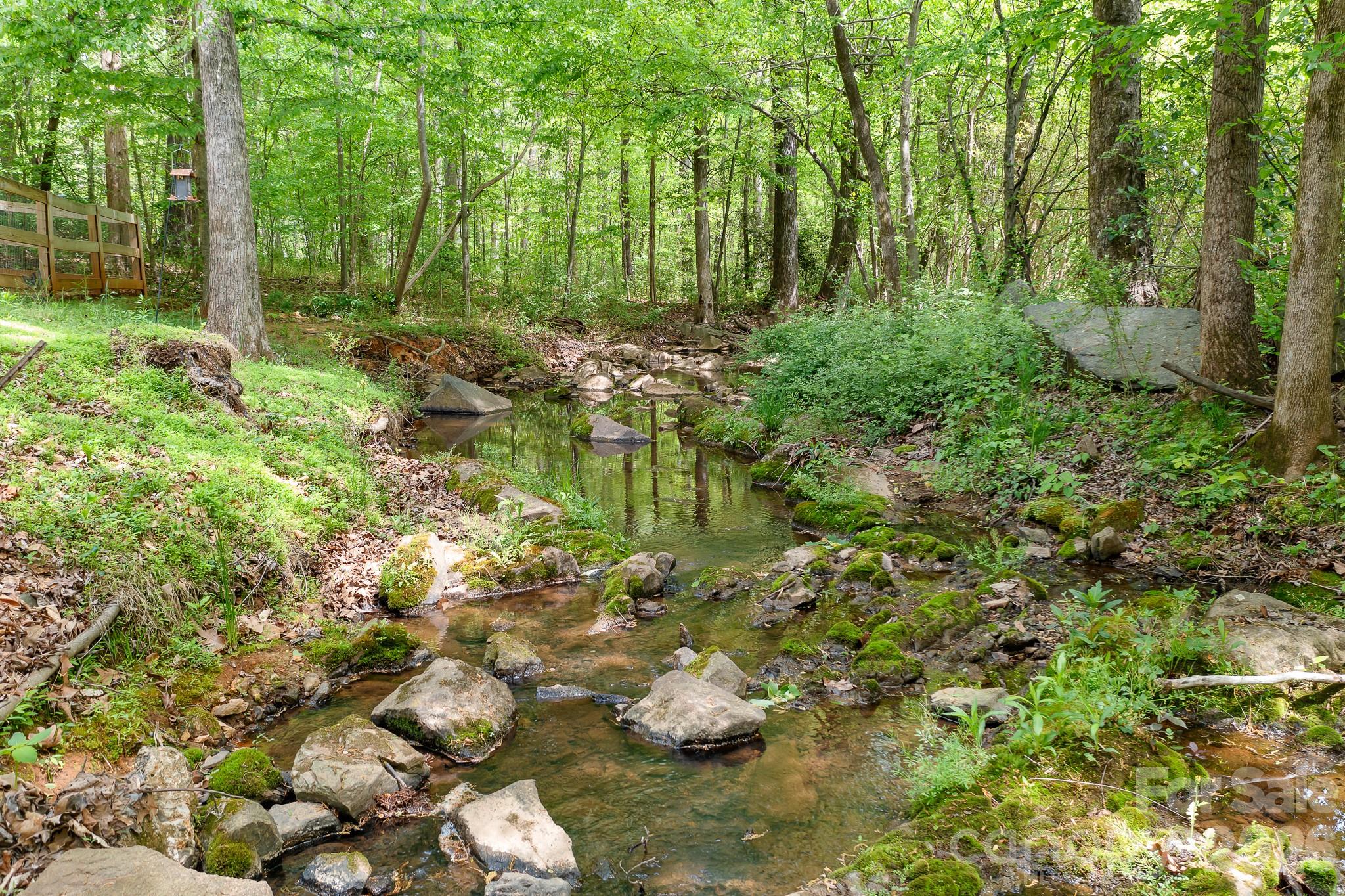 Image 33