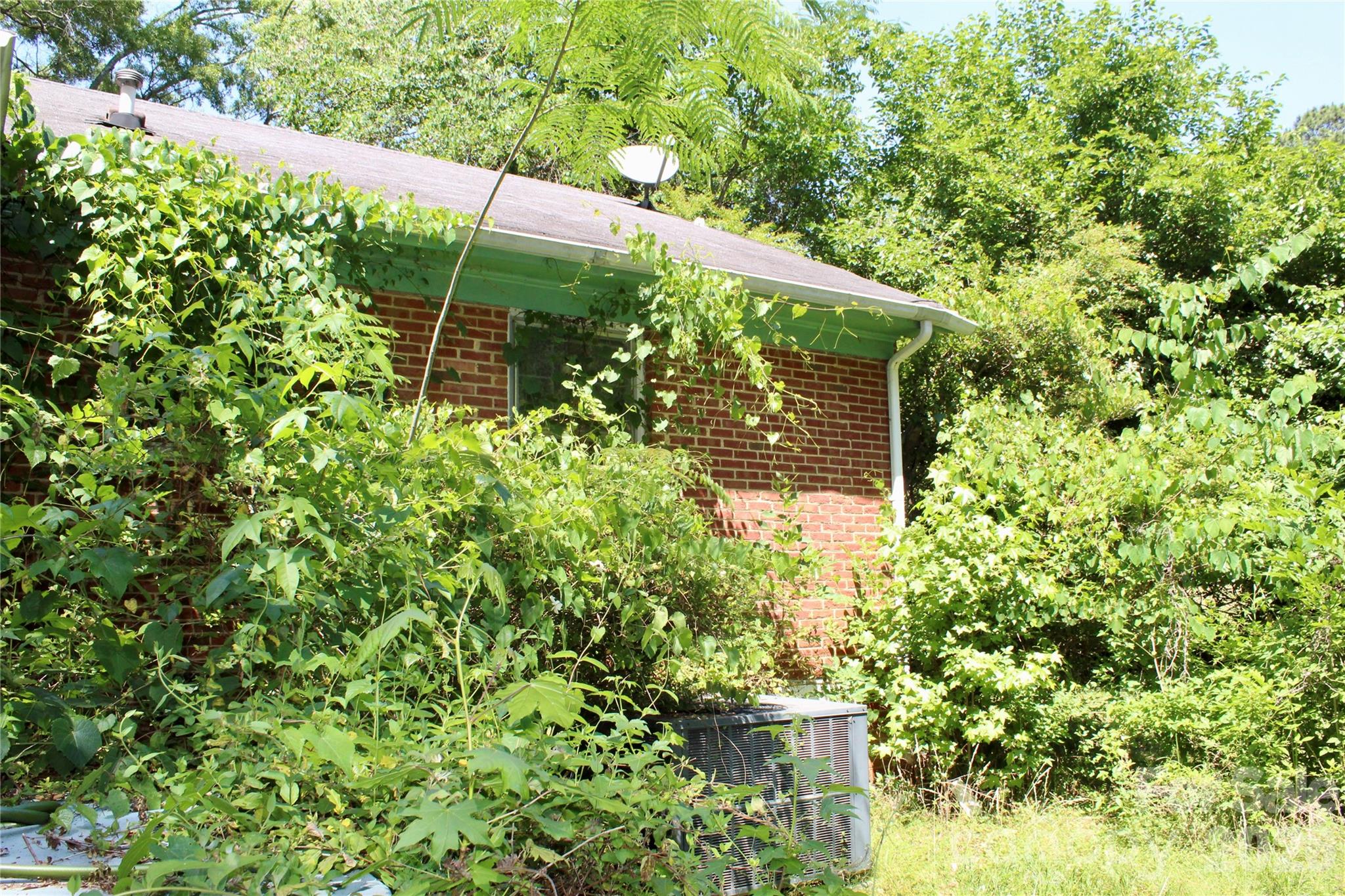 Image 13