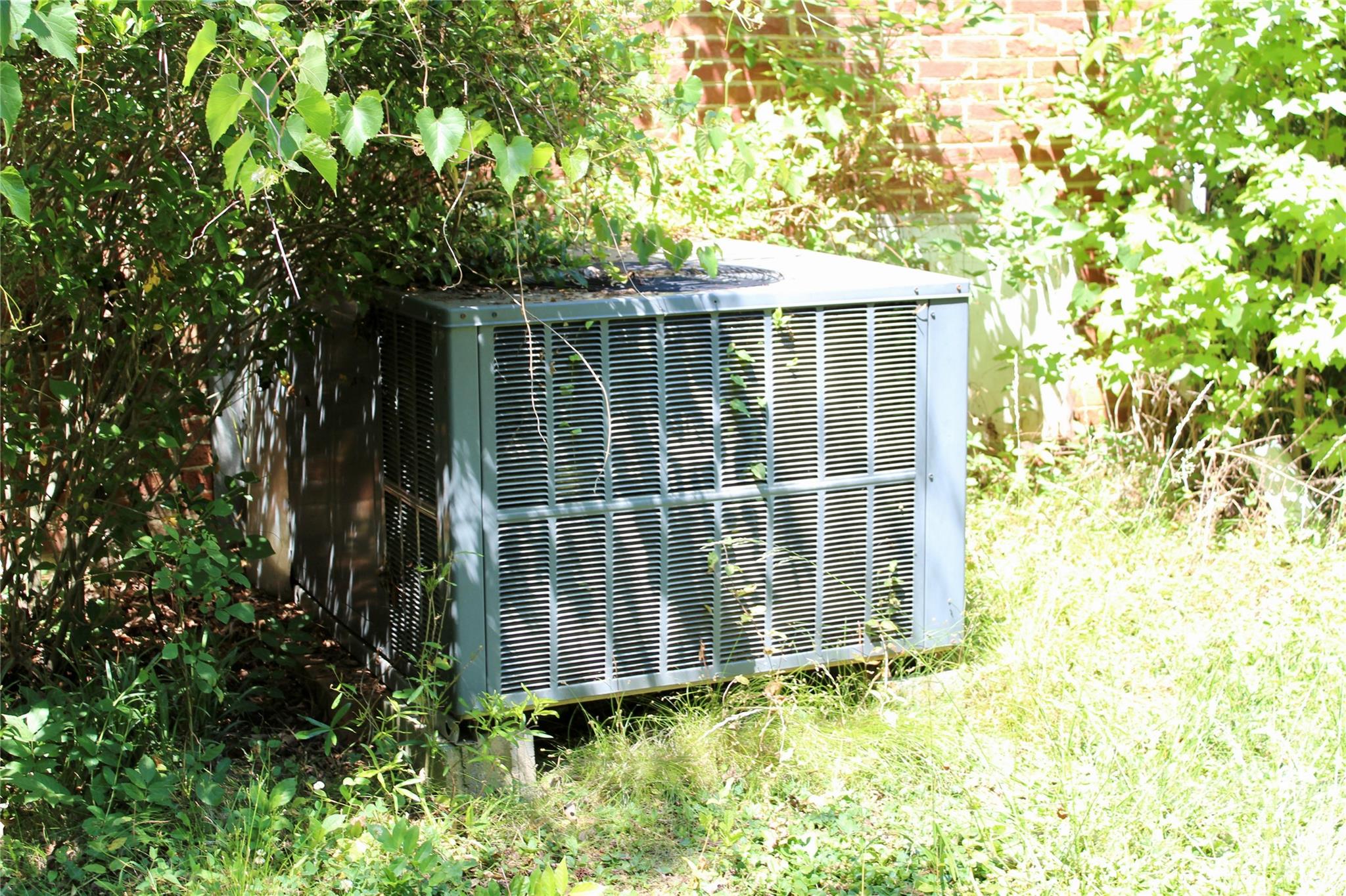 Image 14