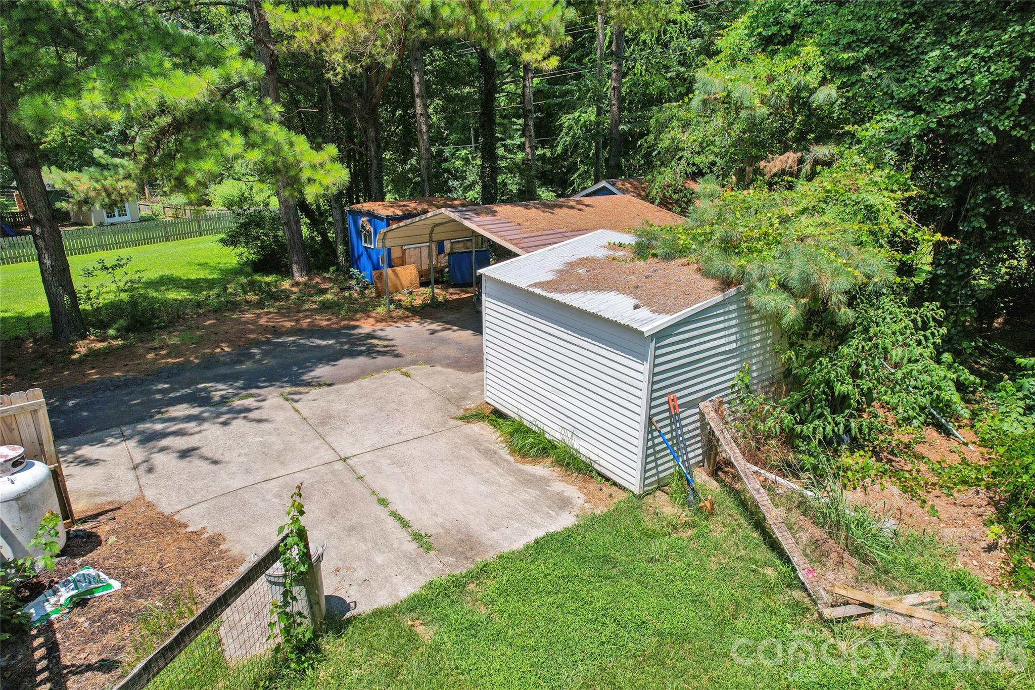 Image 11