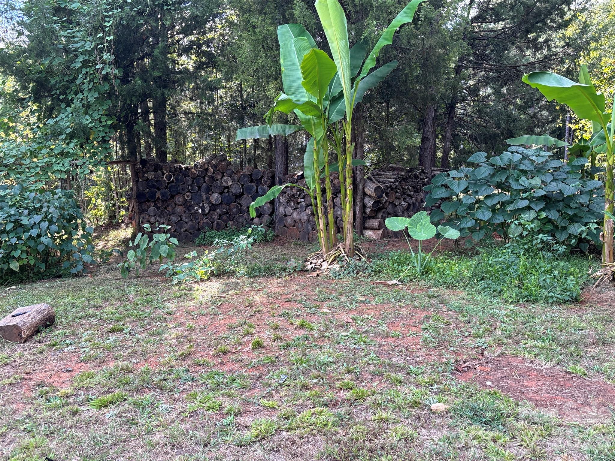 Image 40