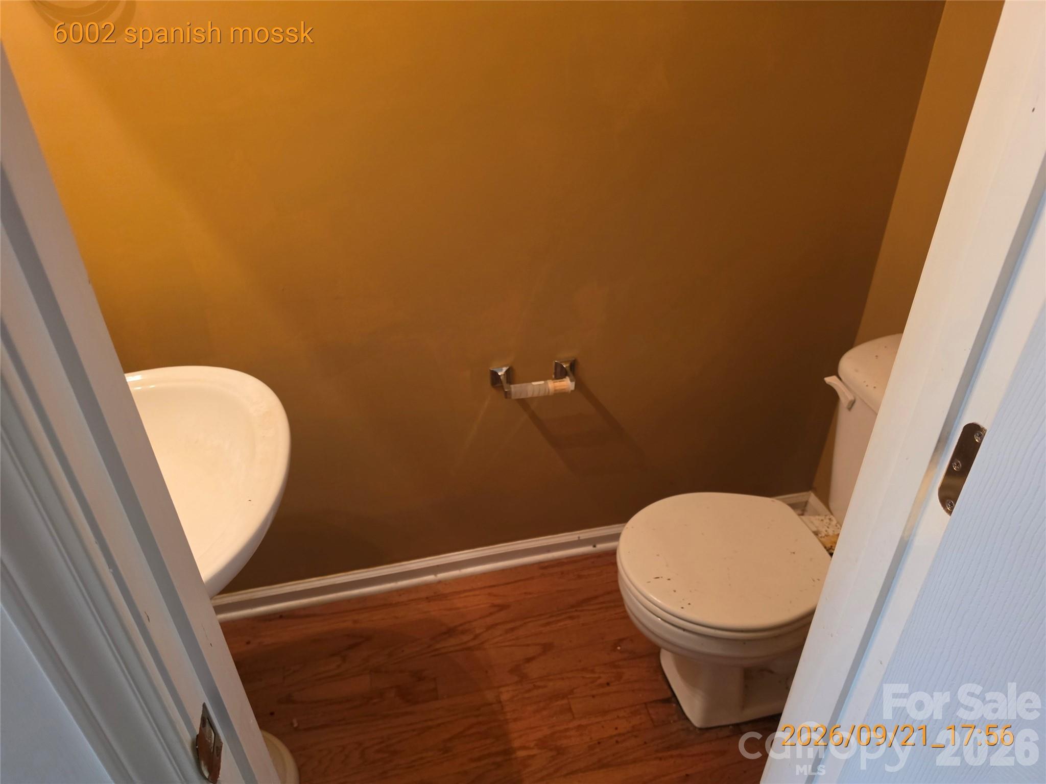 Image 7