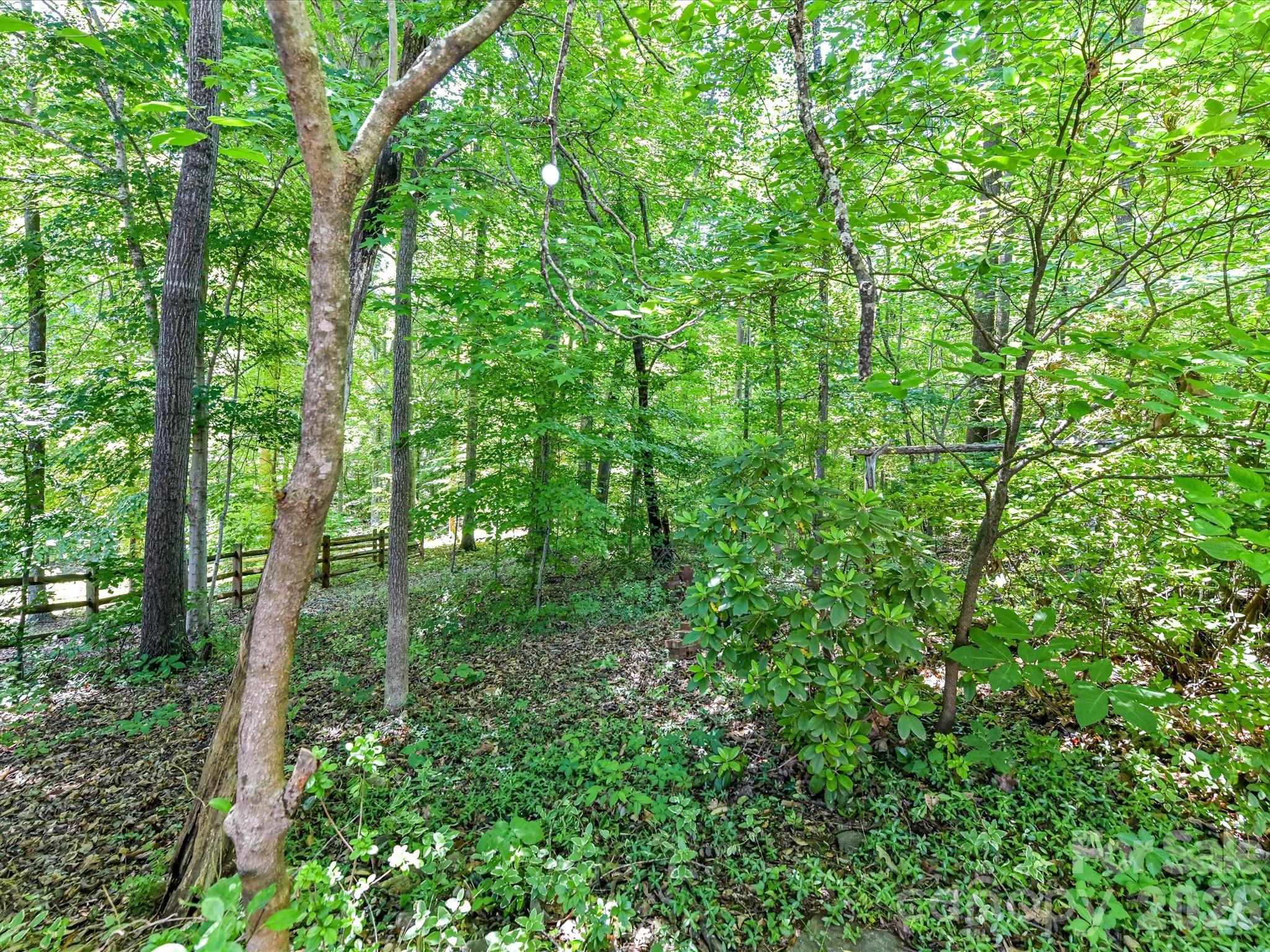 Image 23
