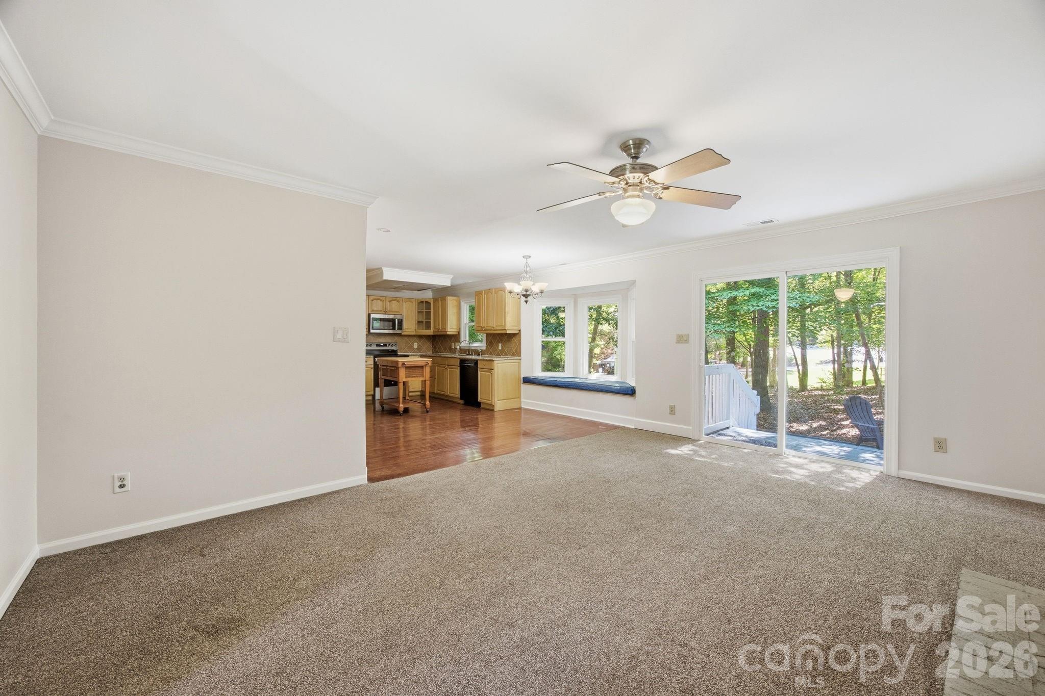 Image 16