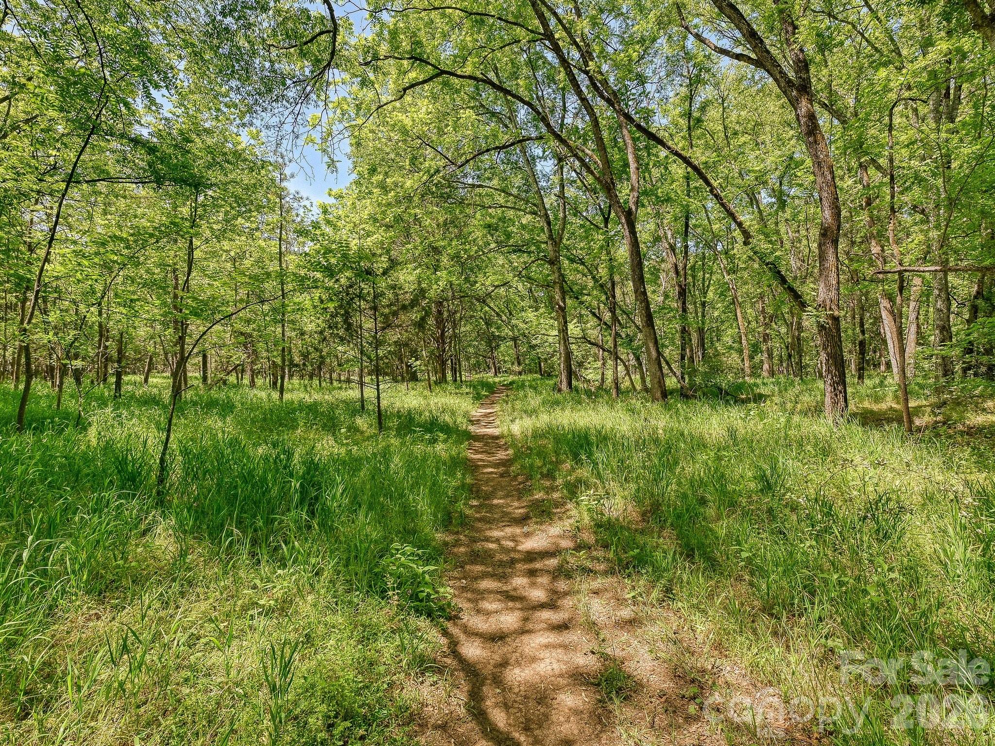 Image 41