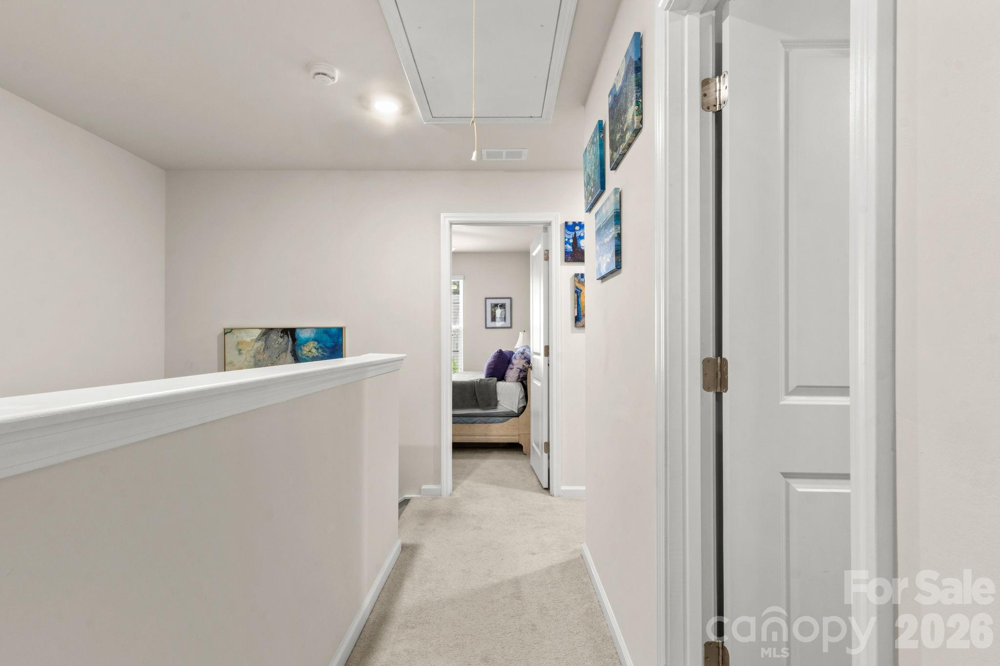 Image 13