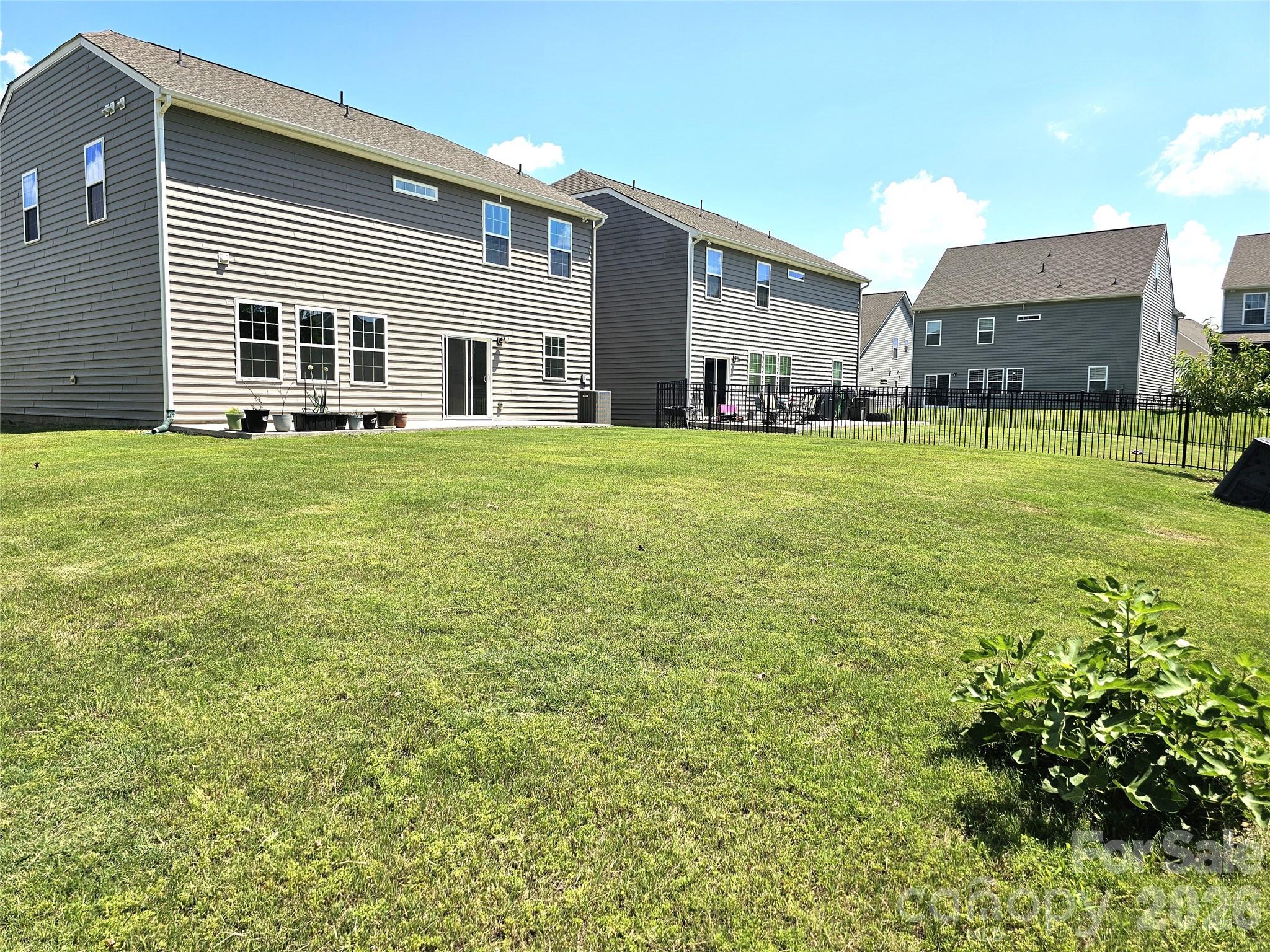 Image 25