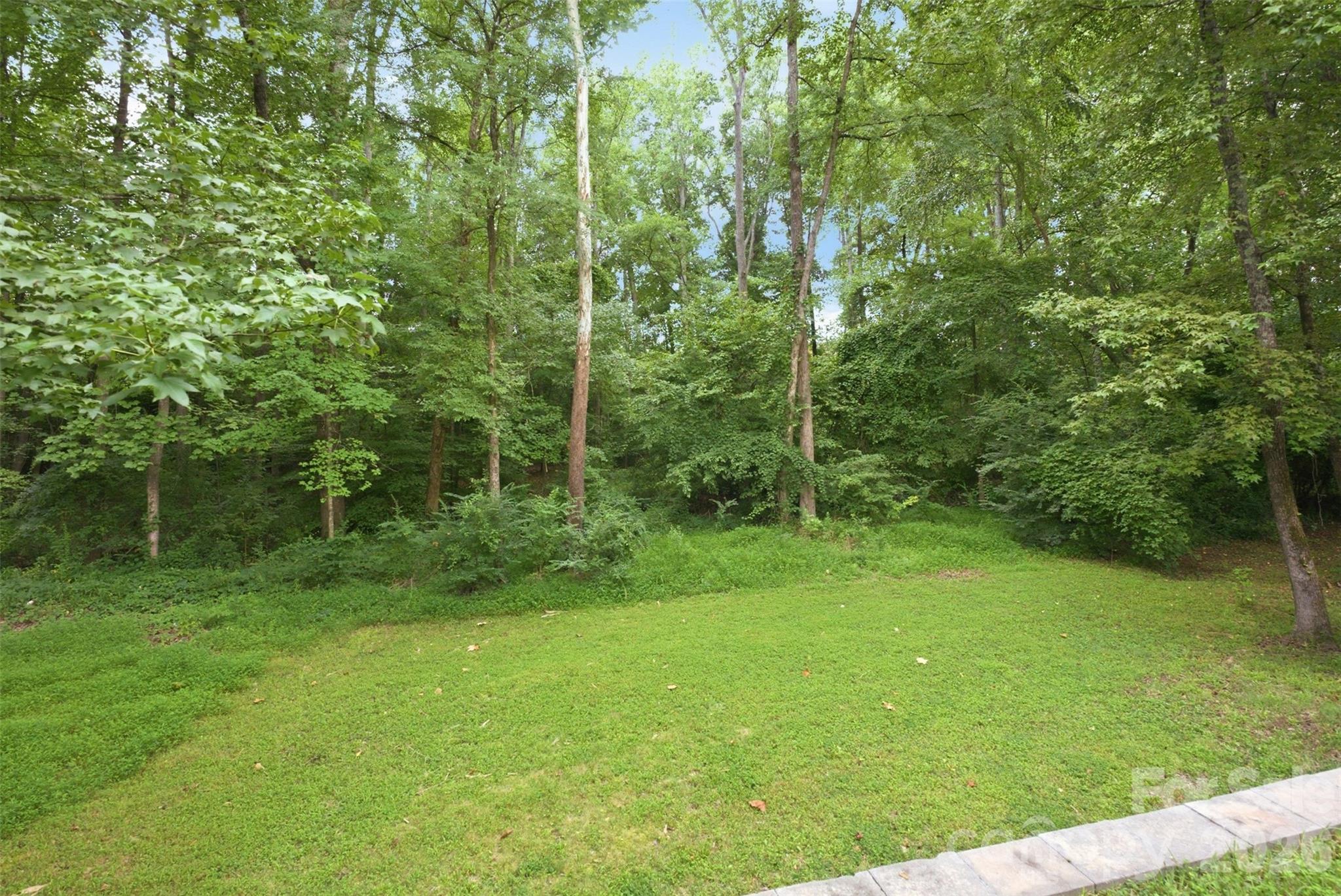 Image 44