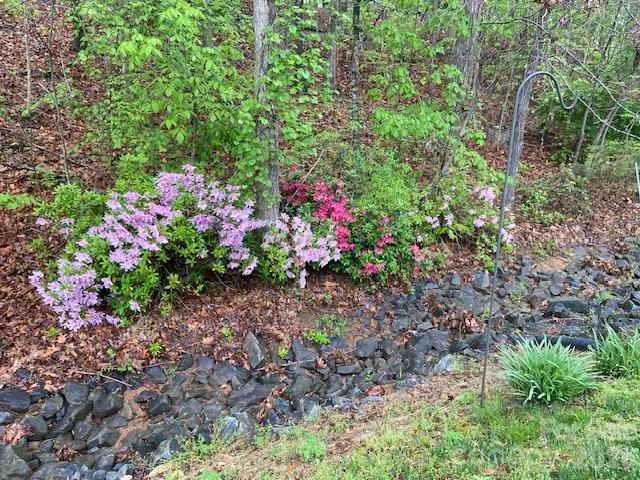 Image 48