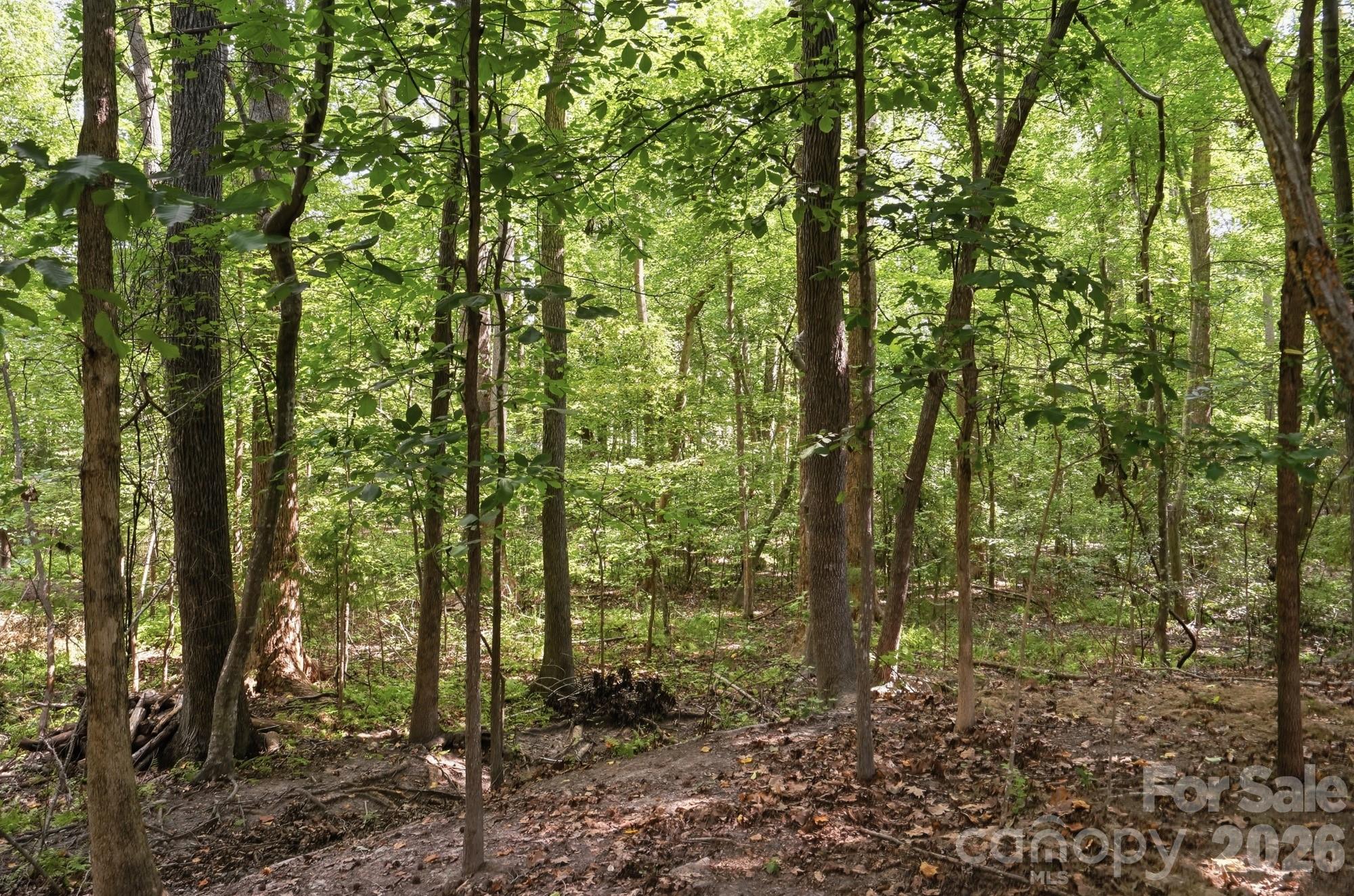 Image 45