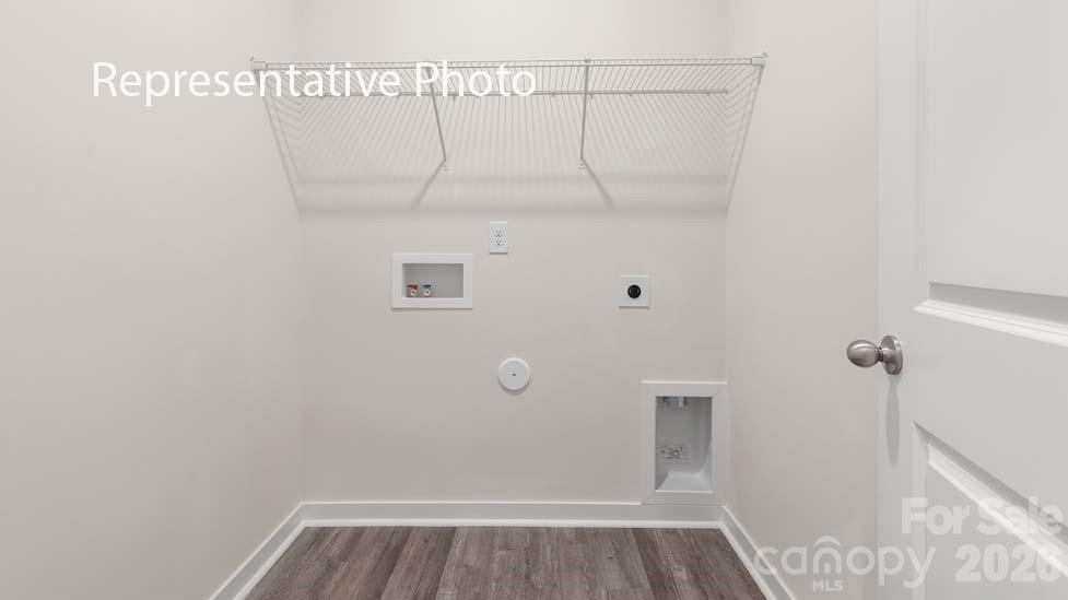 Image 19