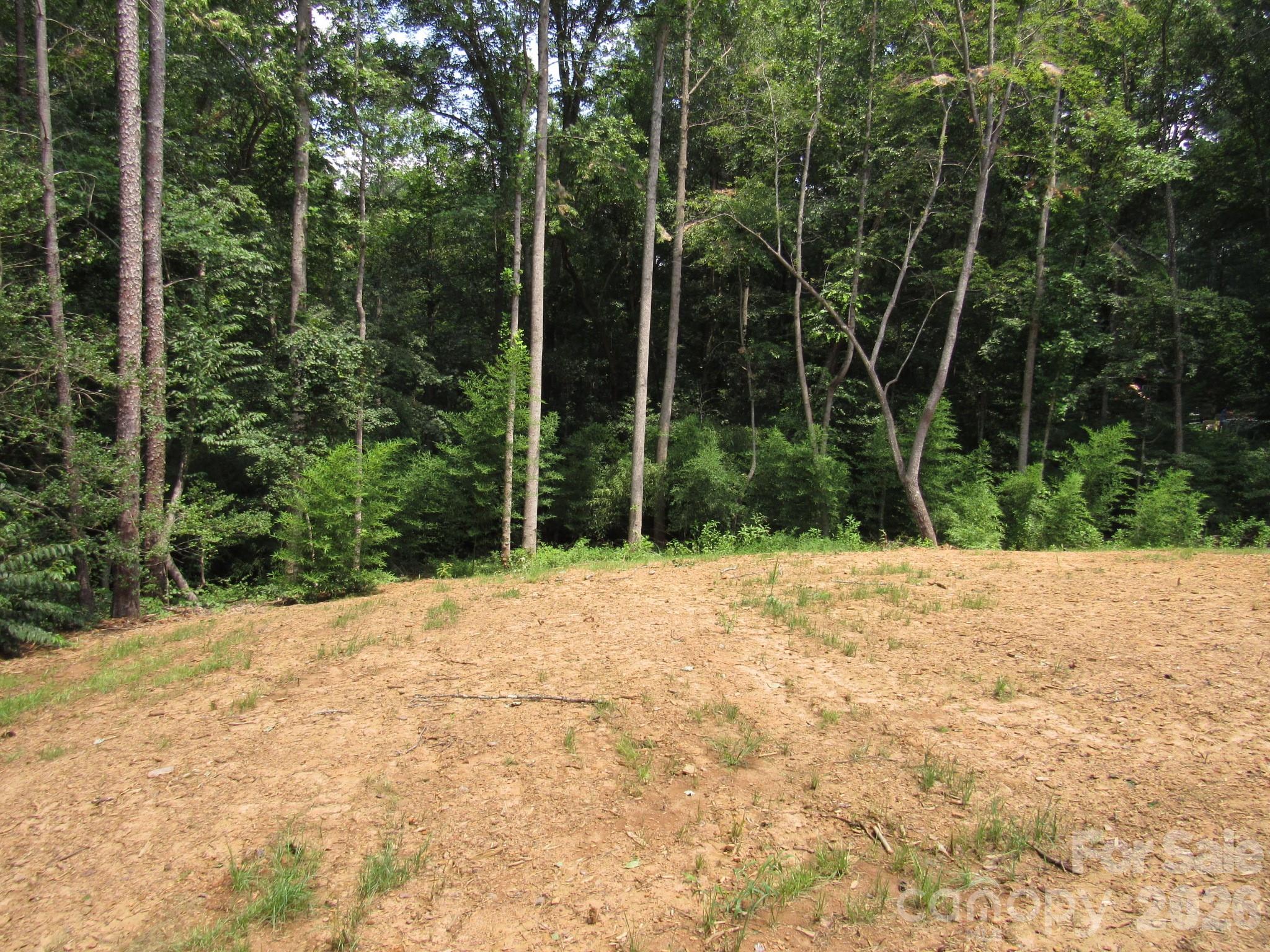 Image 14