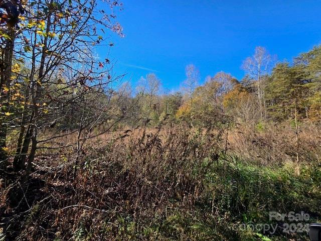 Lot #64 Seminole Drive Maiden, NC 28650