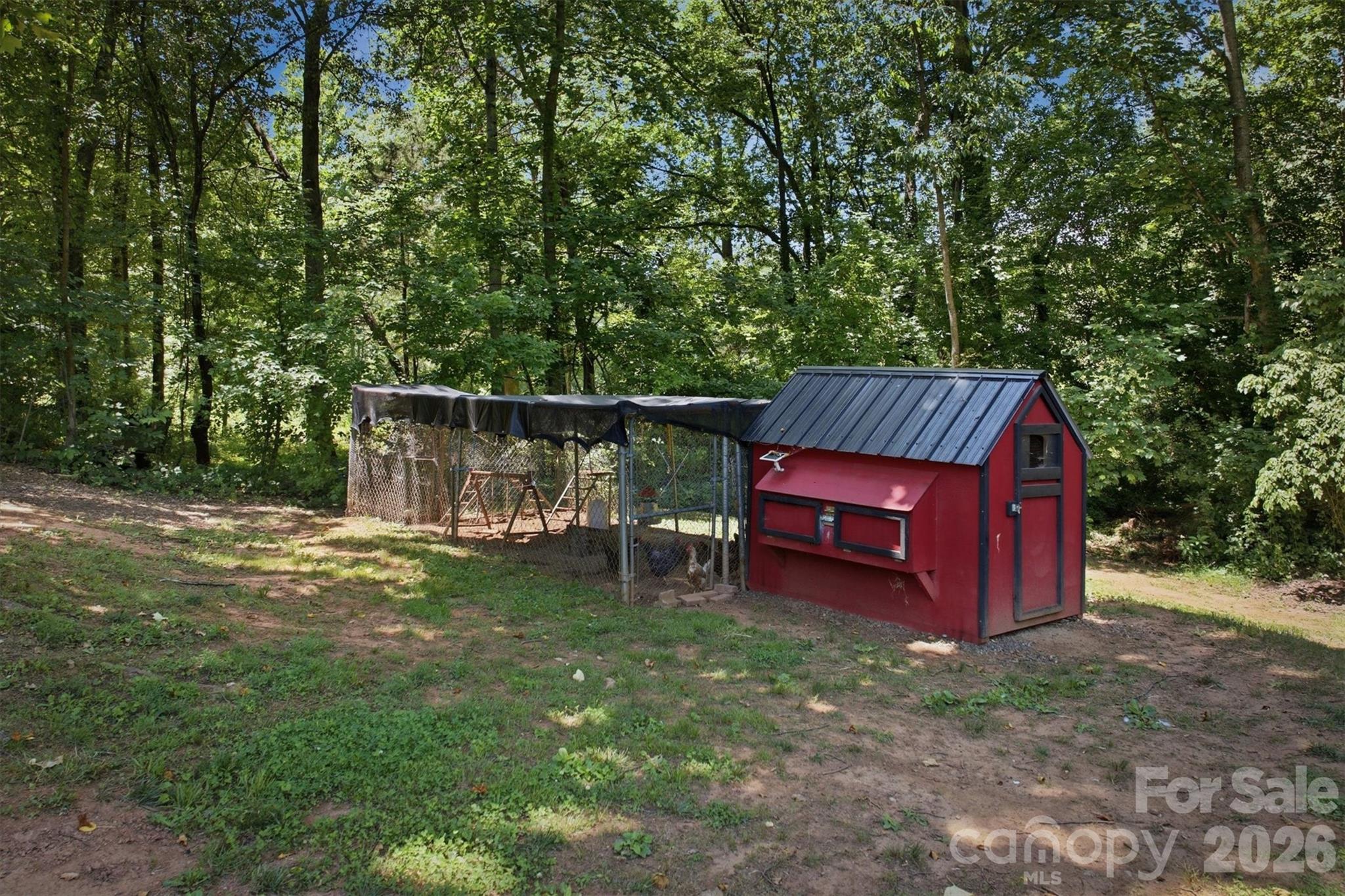 Image 10