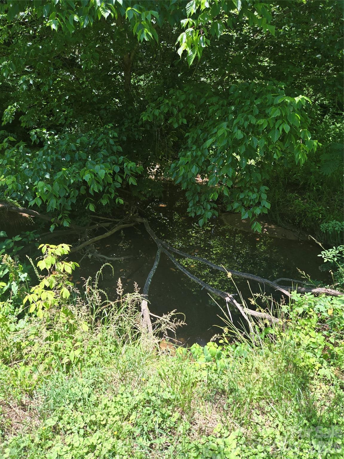 Image 13