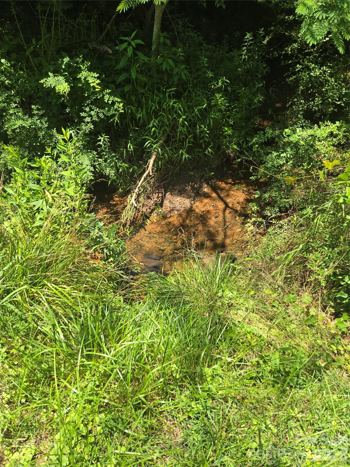 Image 15