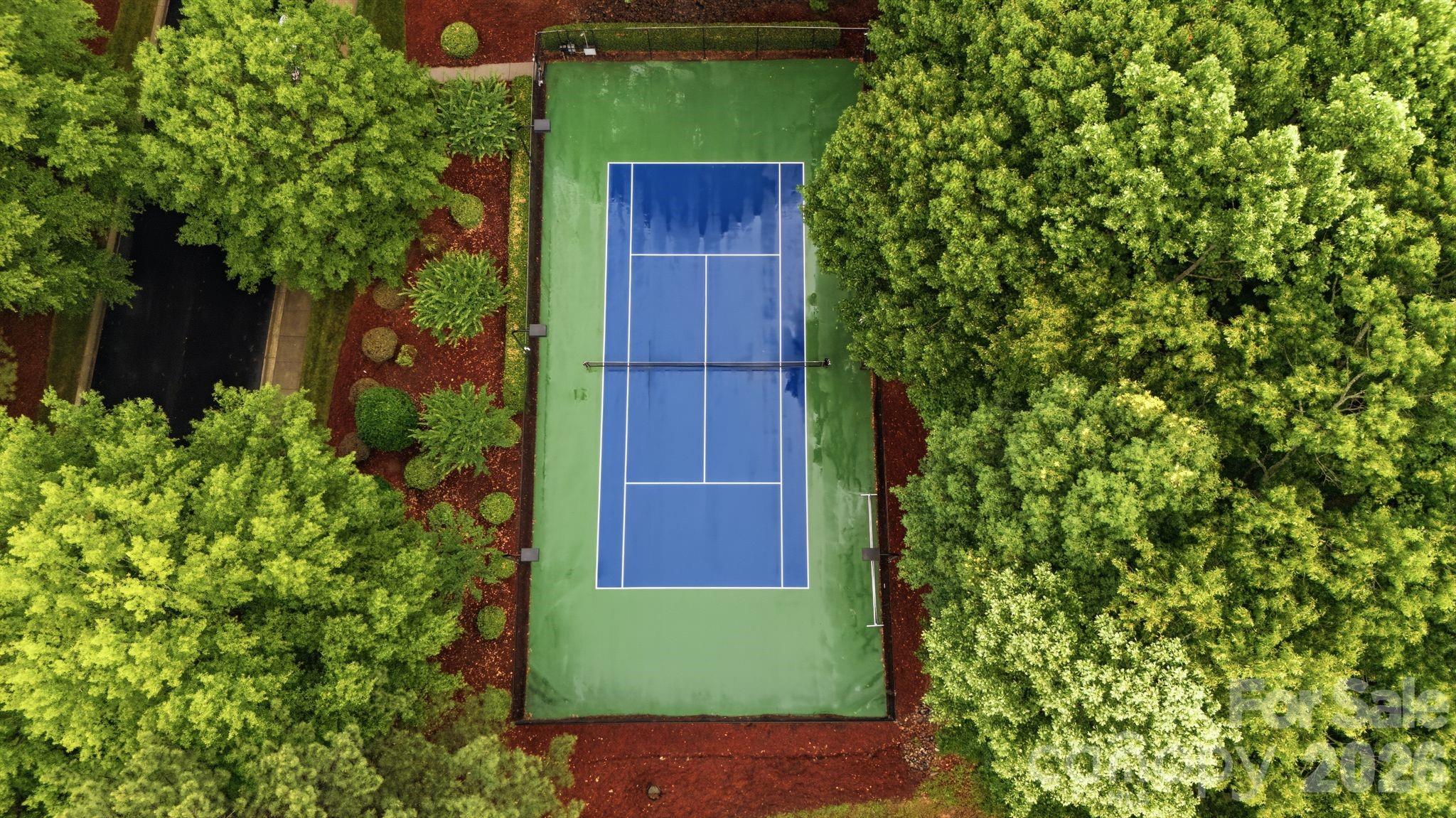 Image 17