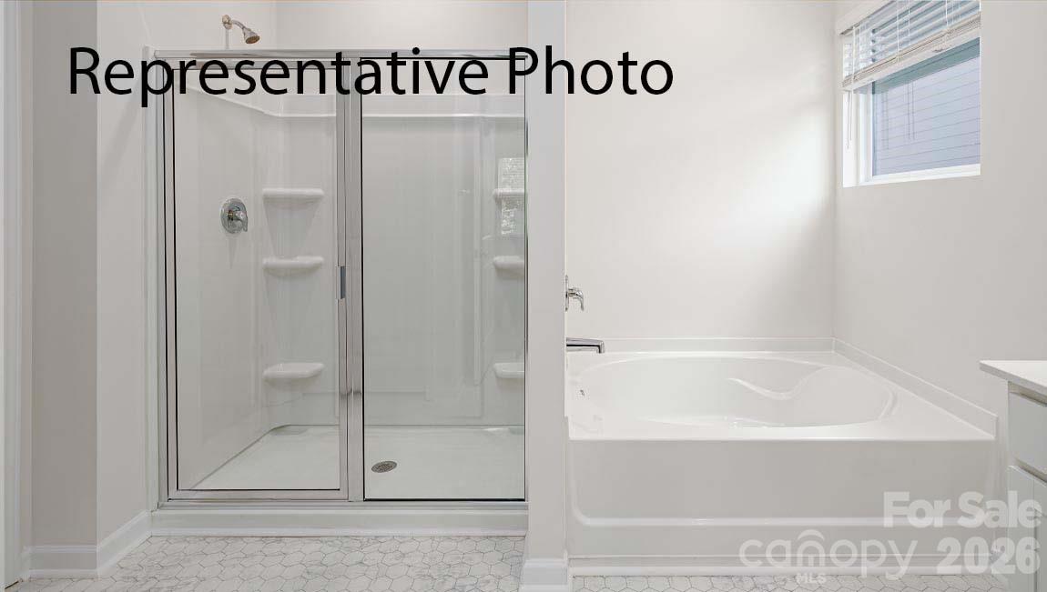 Image 13