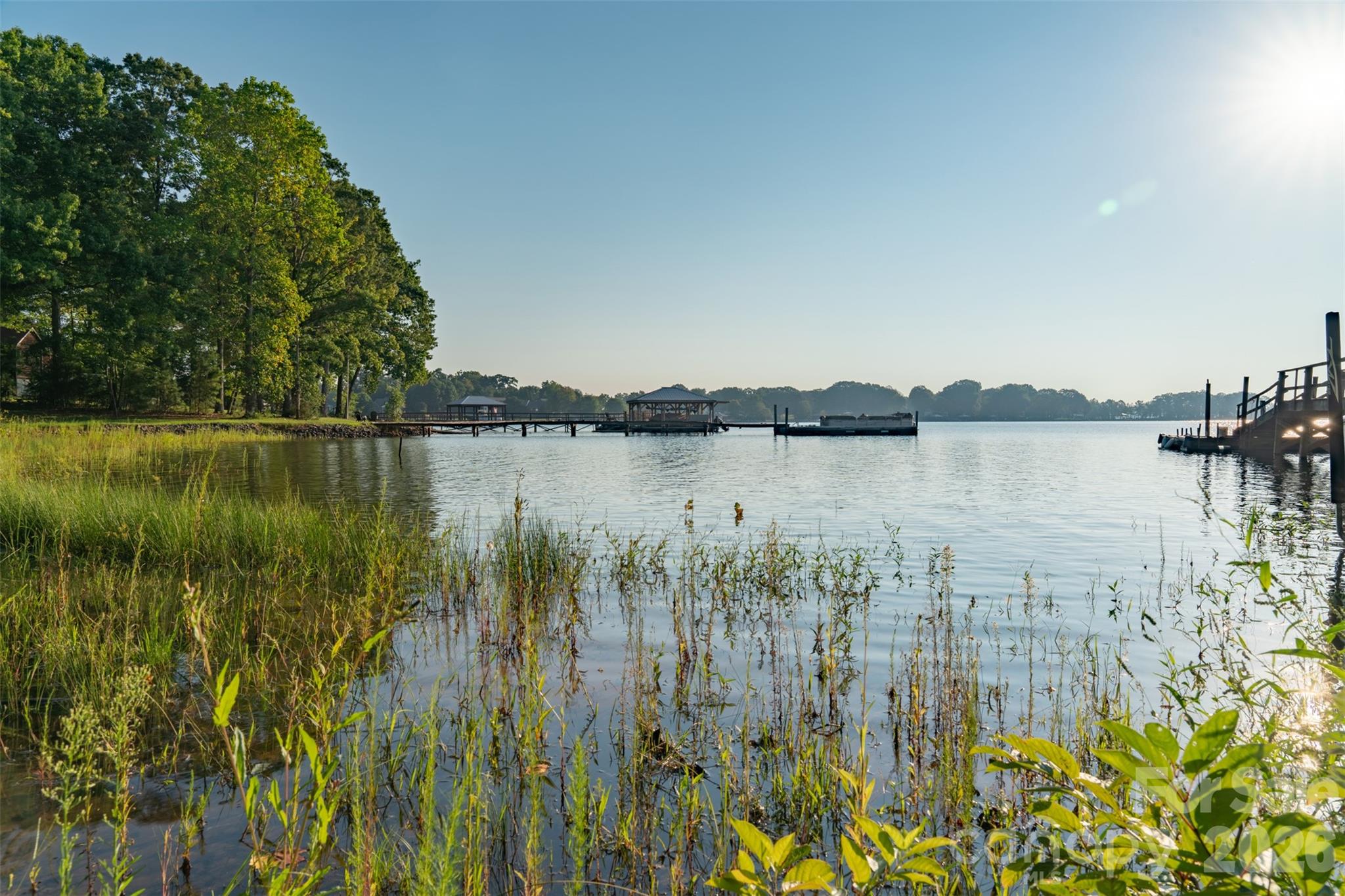 Image 15