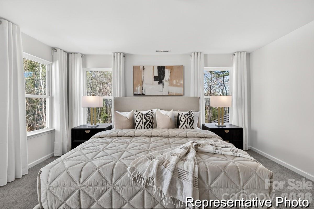 Image 17