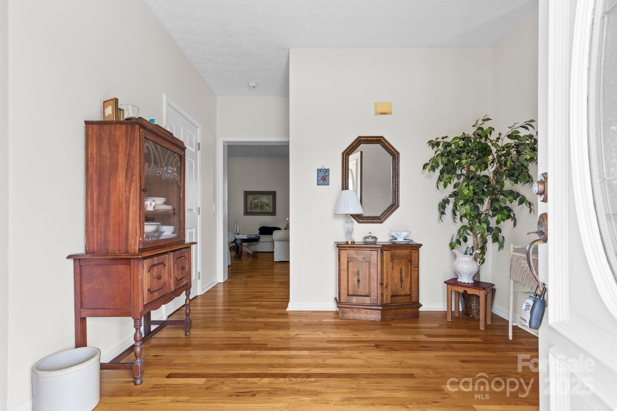 Property view 6
