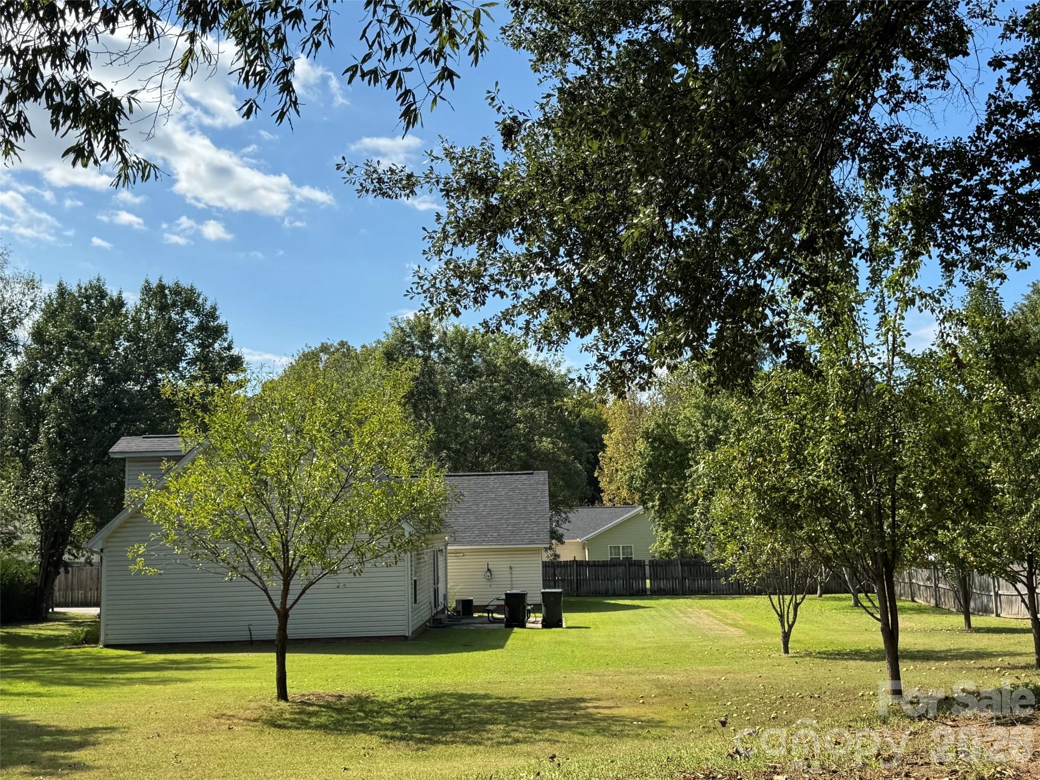 Image 13
