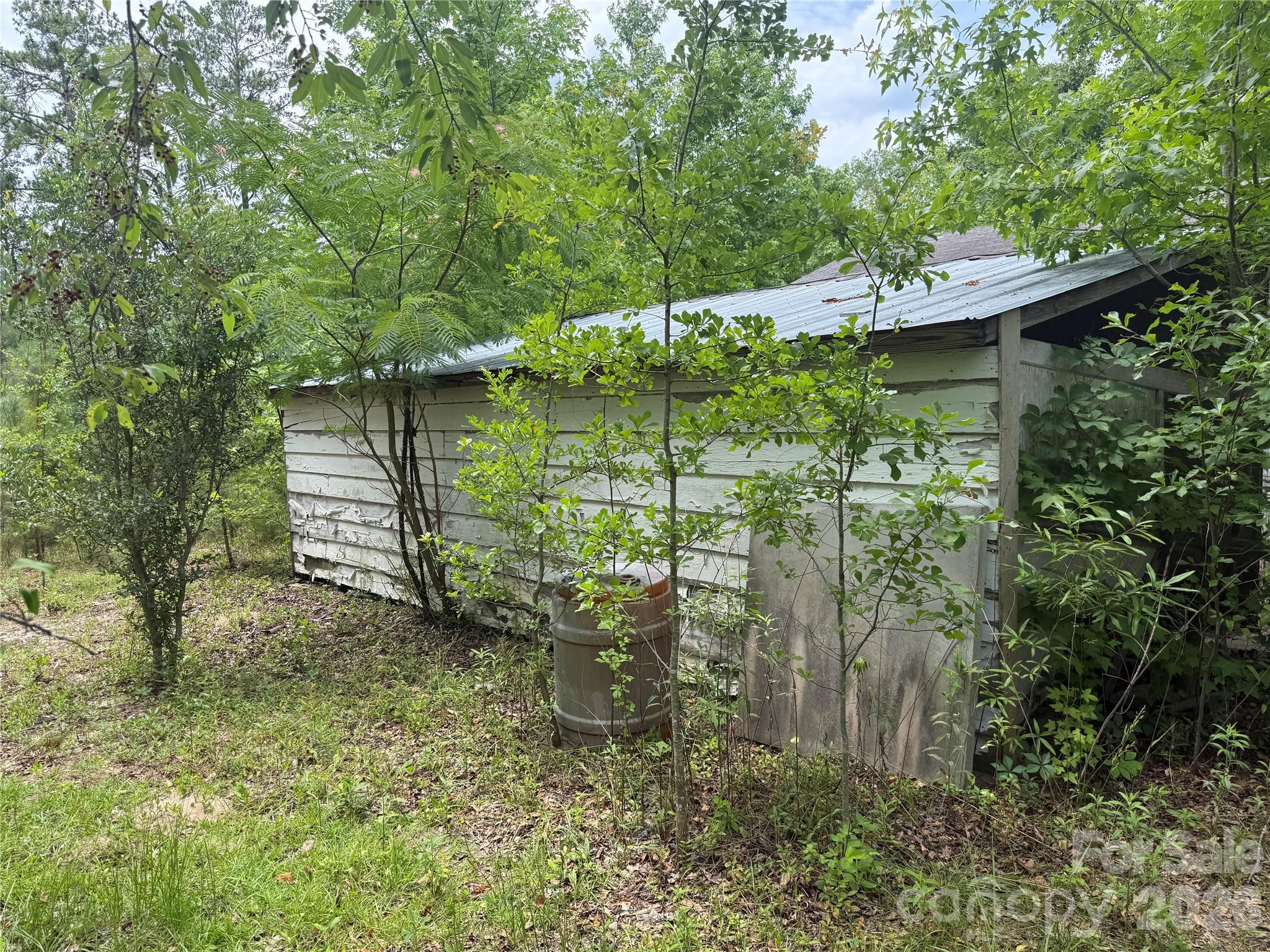 Image 10