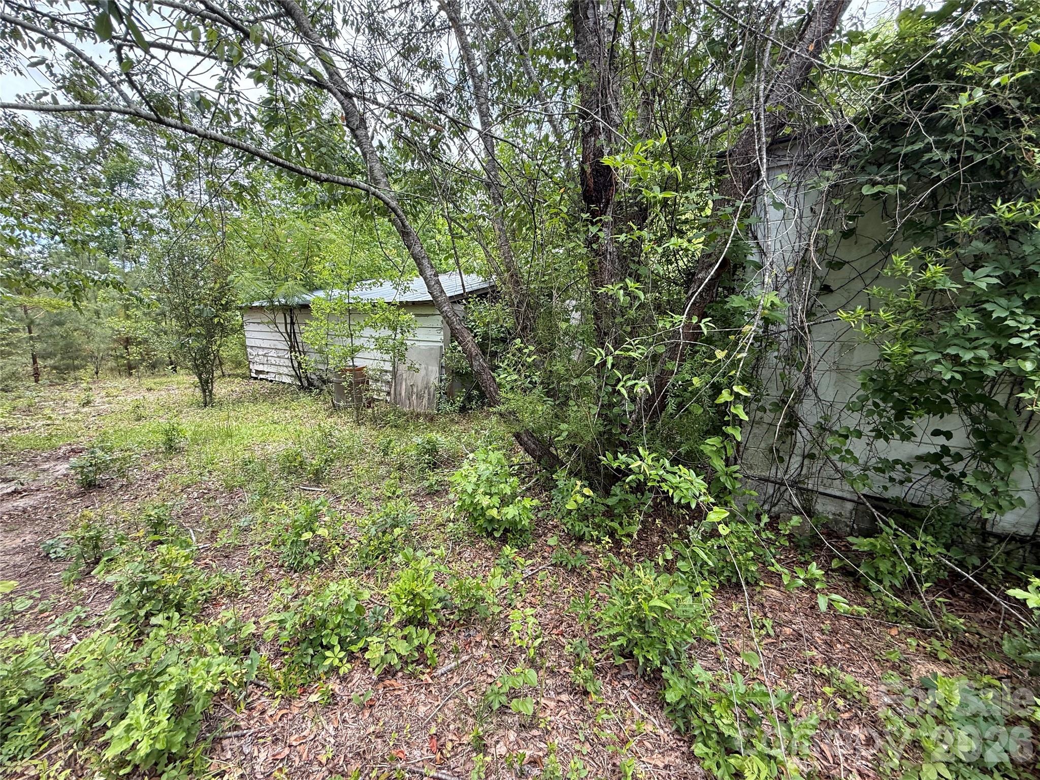Image 13