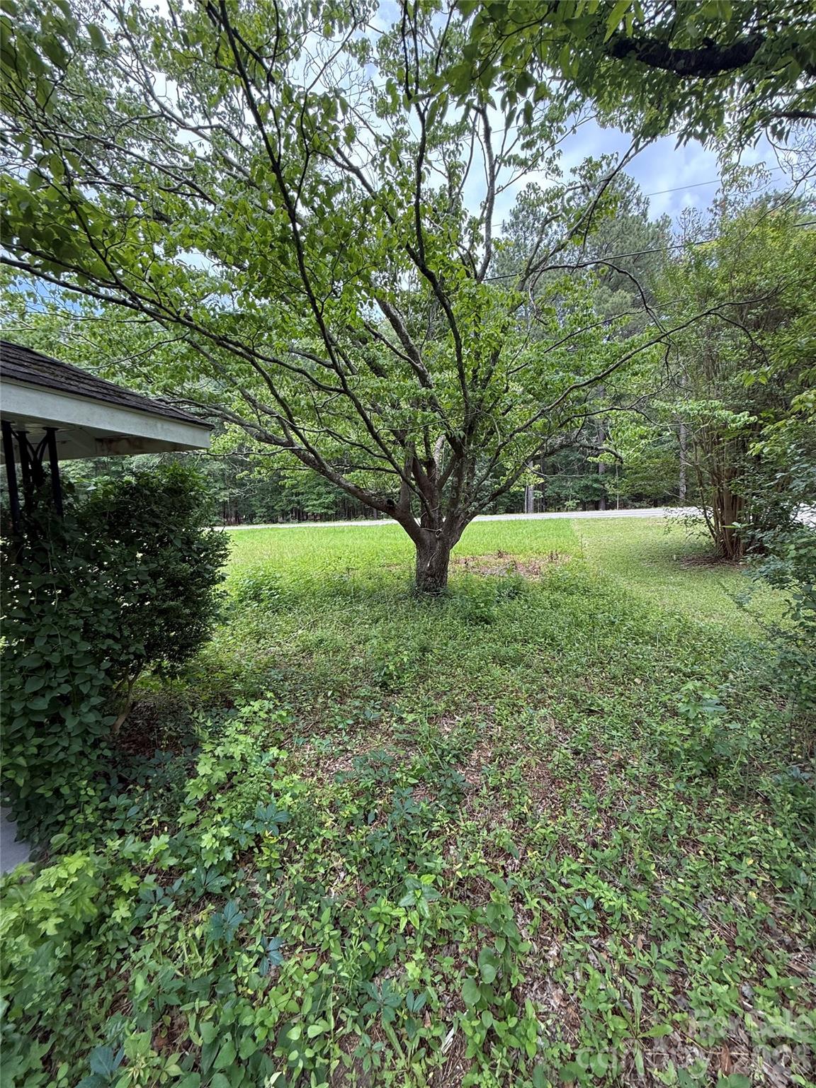 Image 14