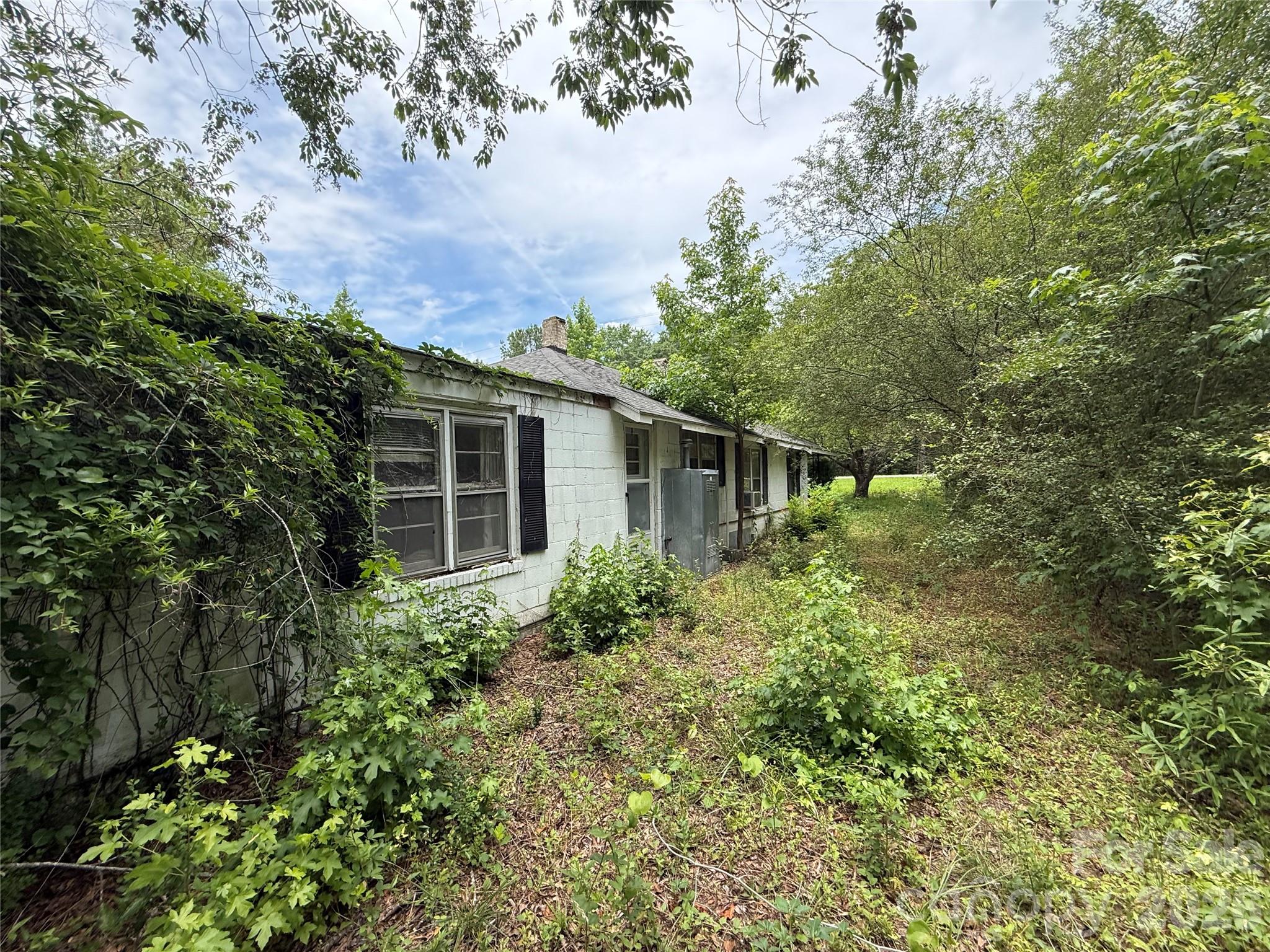 Image 8