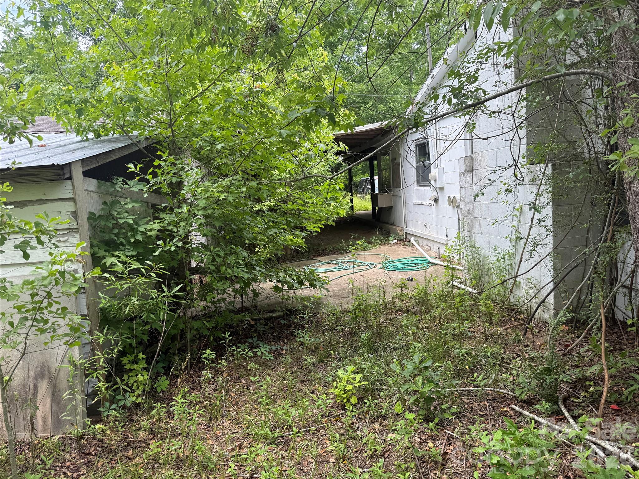 Image 9
