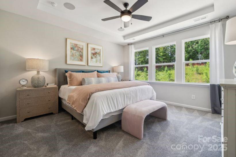 Property view 6