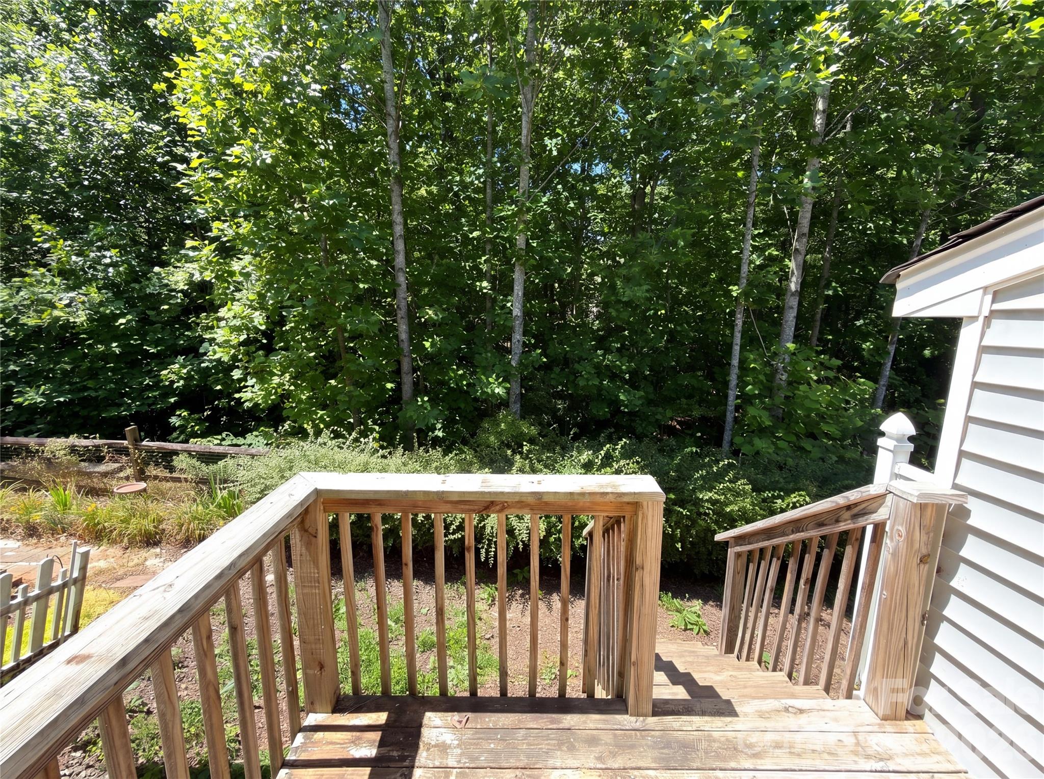 Image 14