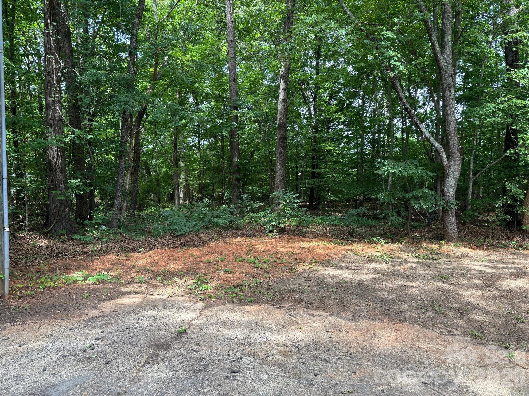 Image 14