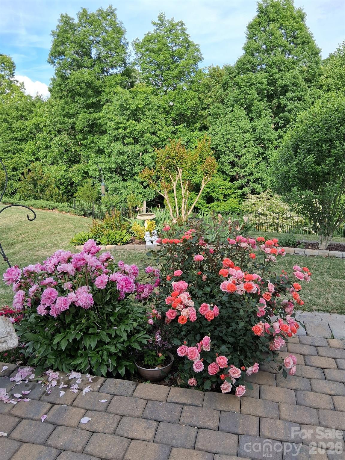 Image 32