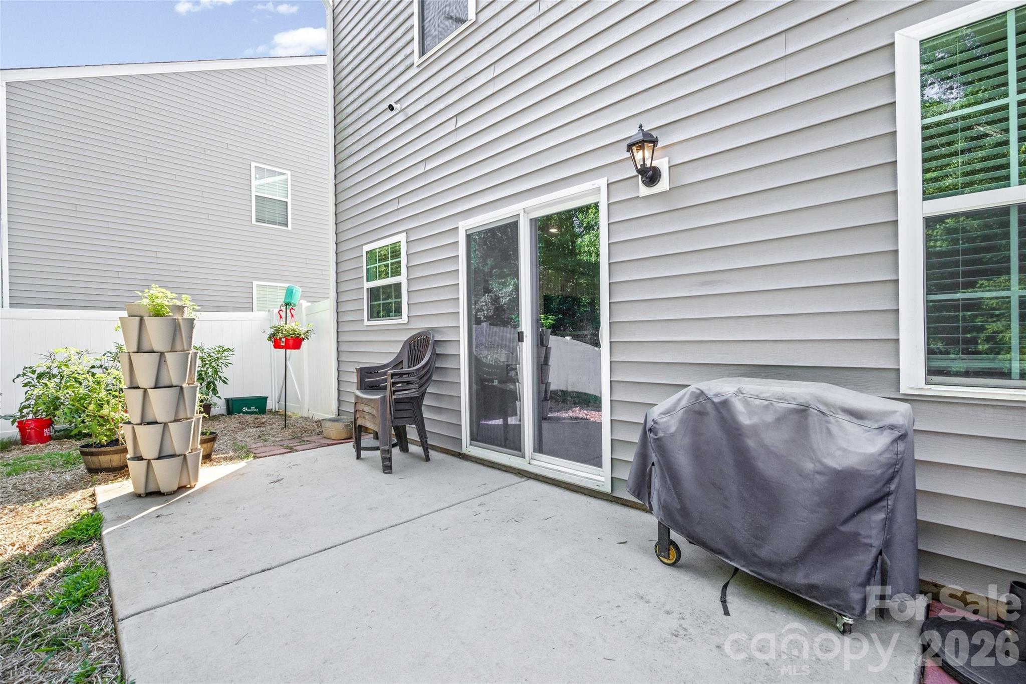 Image 19