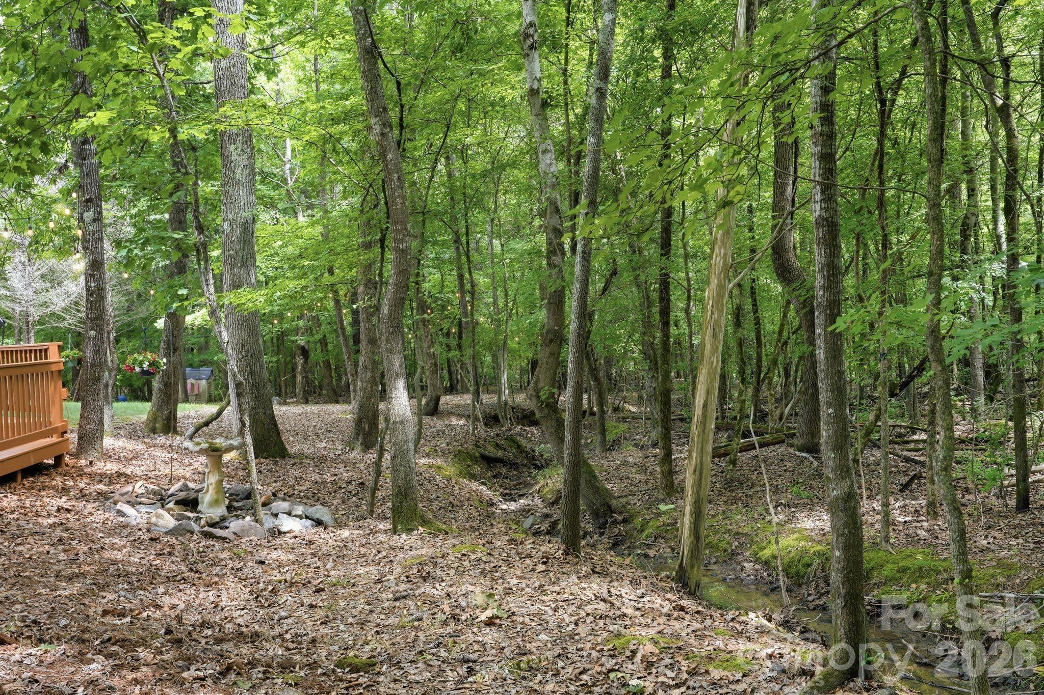 Image 33