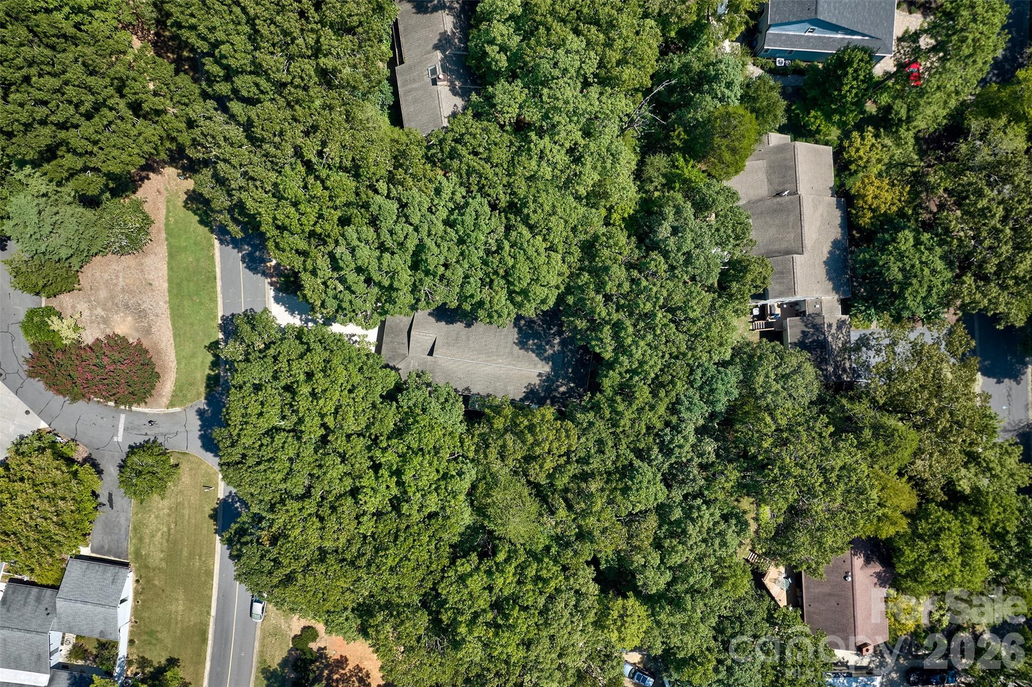 Image 33