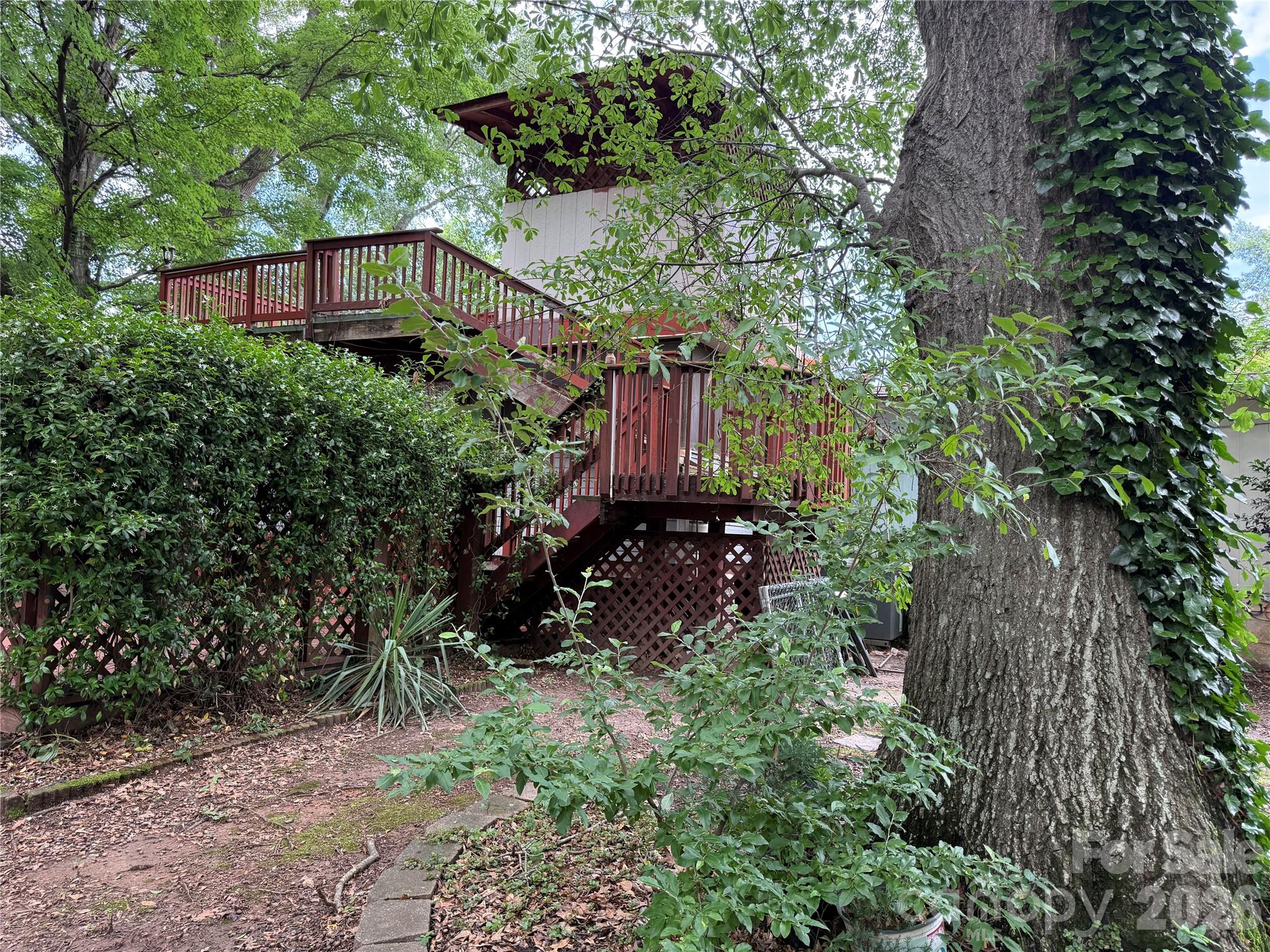 Image 14