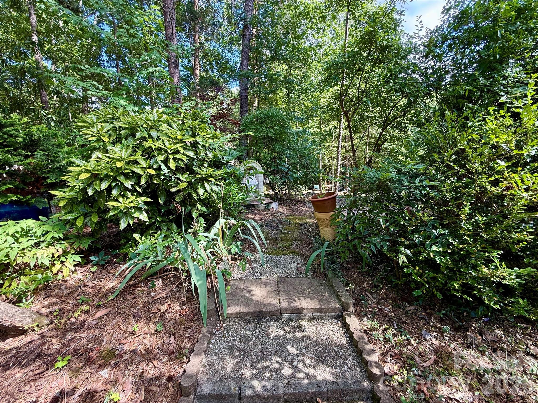 Image 21
