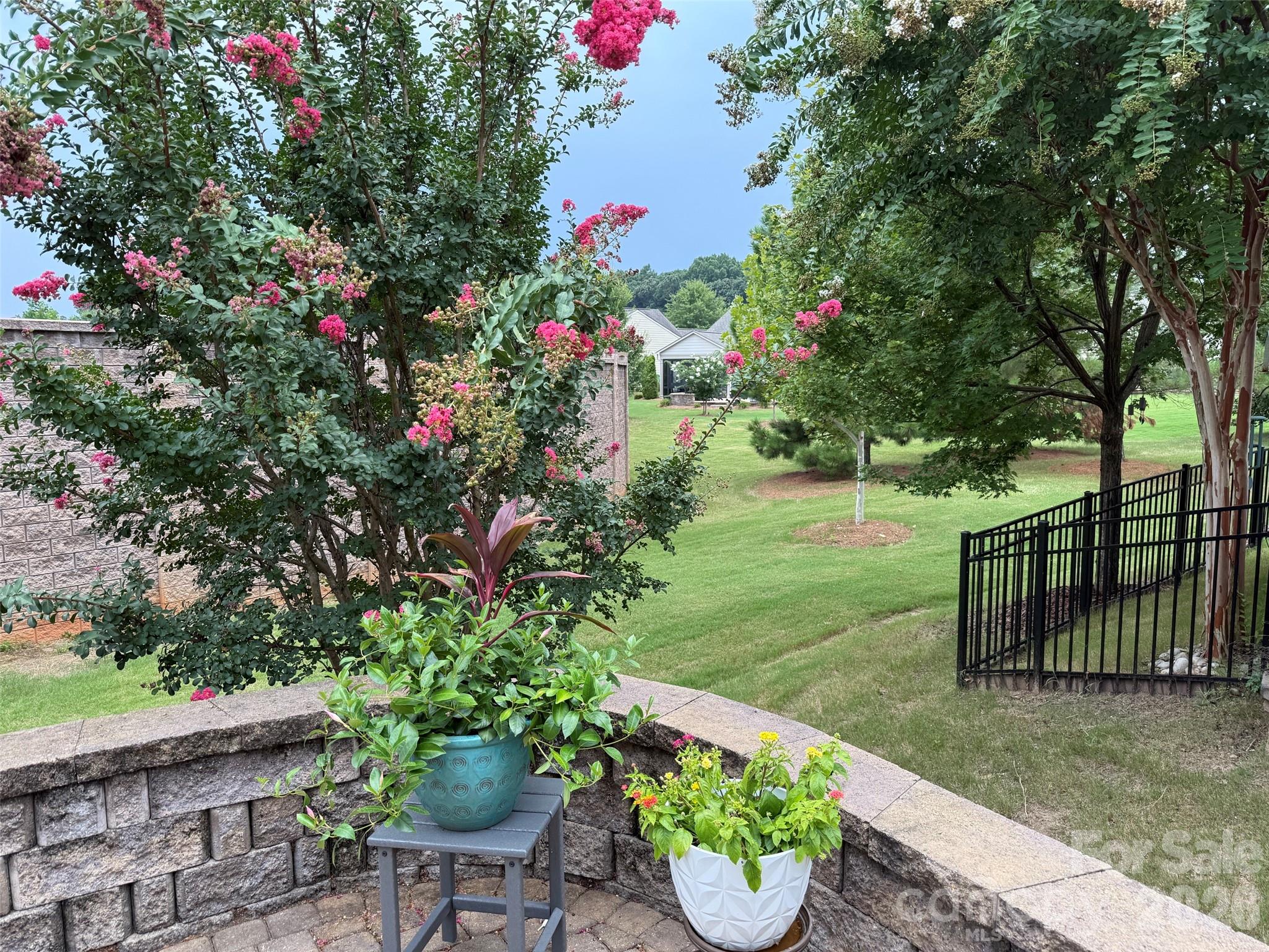 Image 35