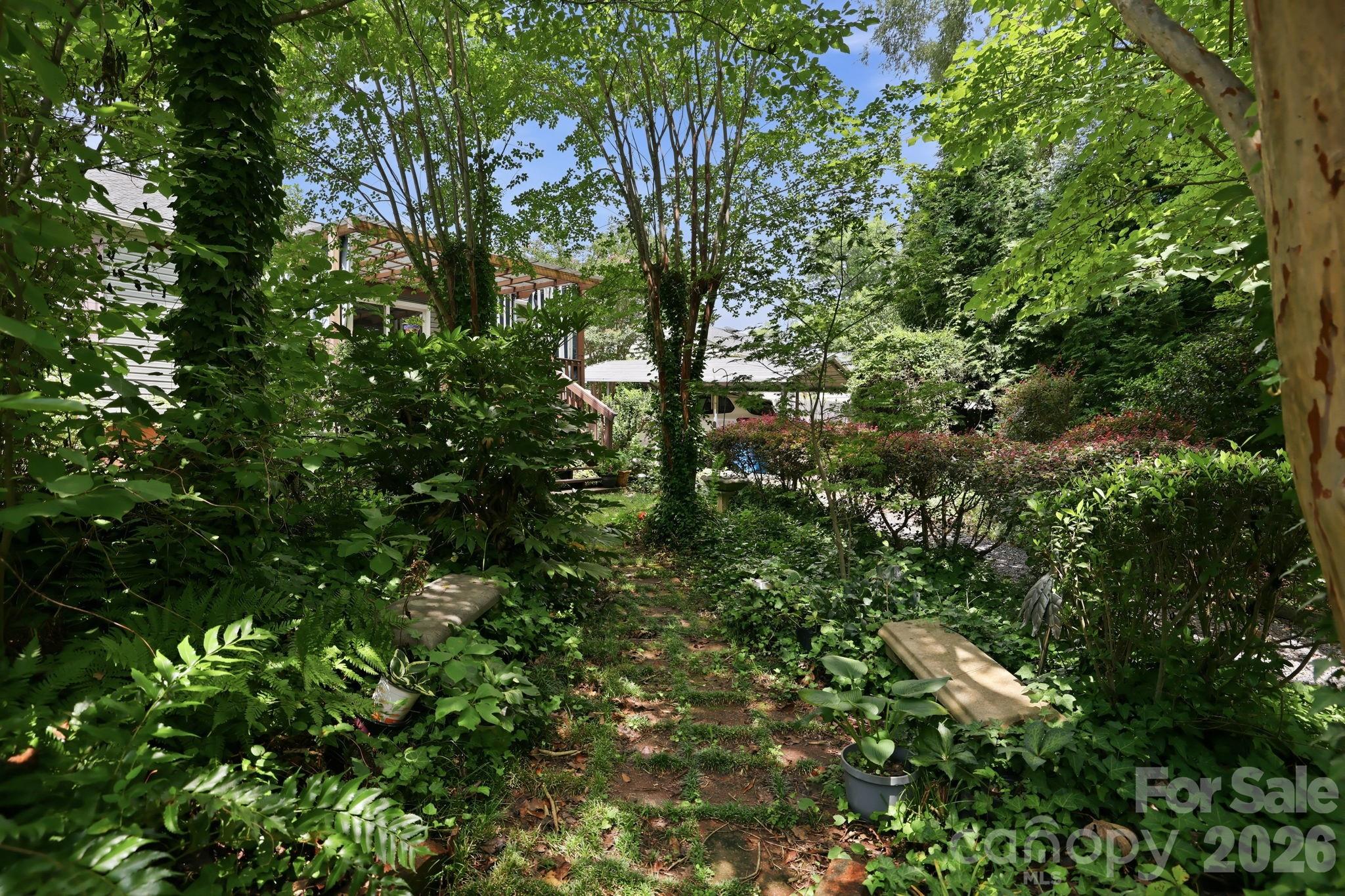 Image 29