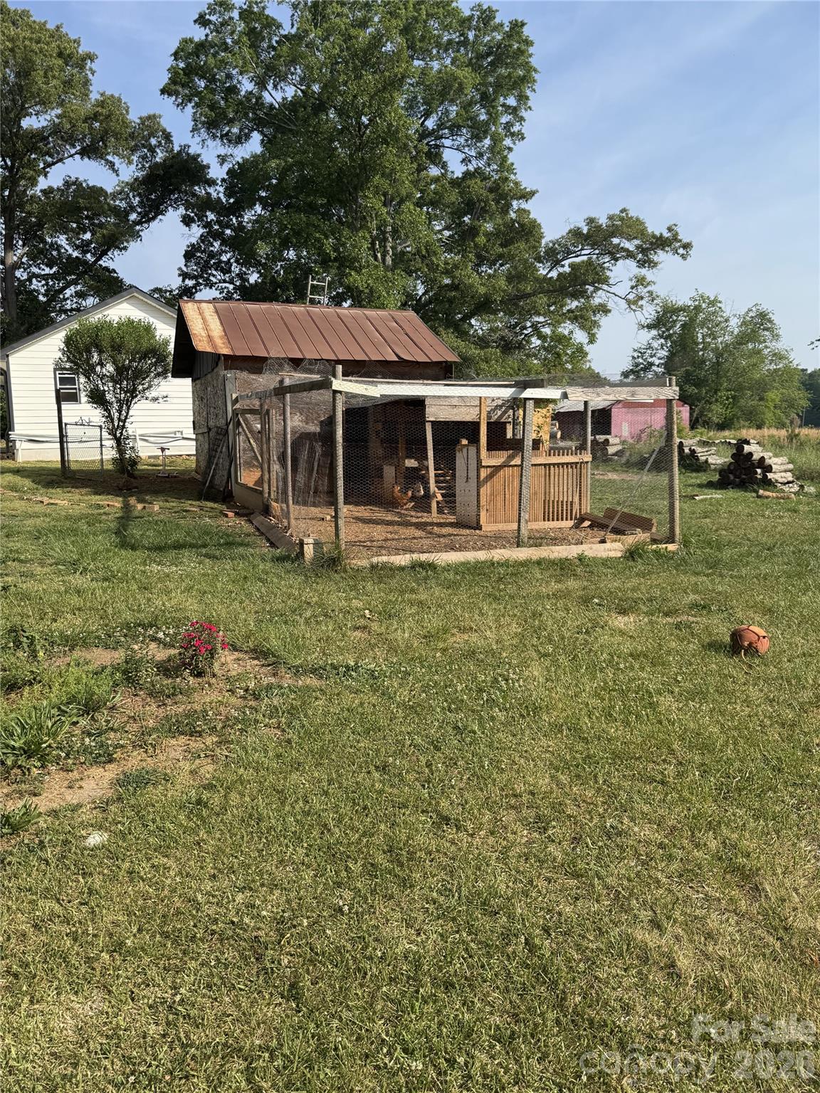 Image 25