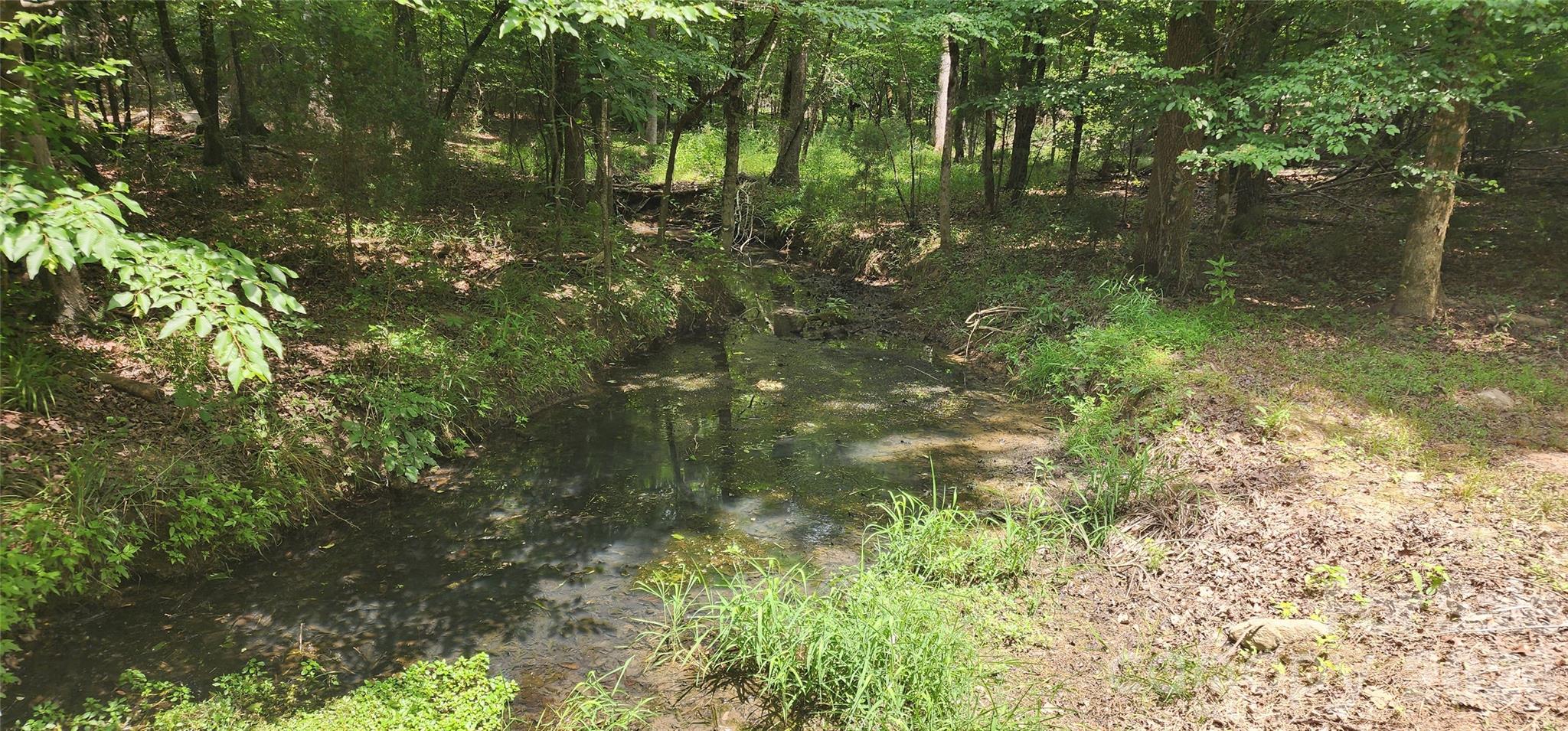 Image 41
