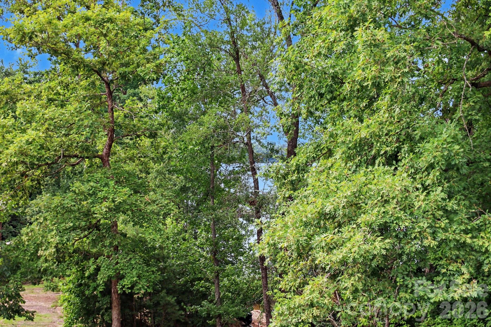 Image 29