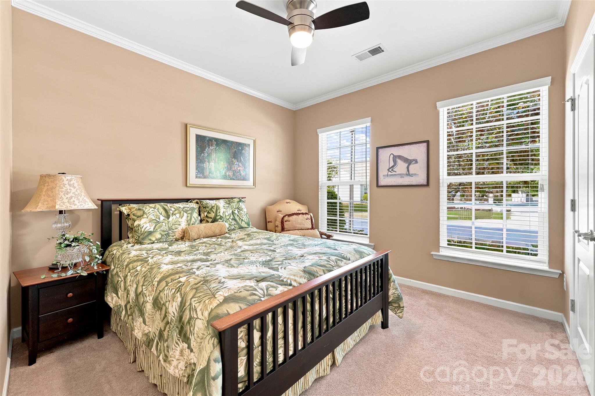 Image 19