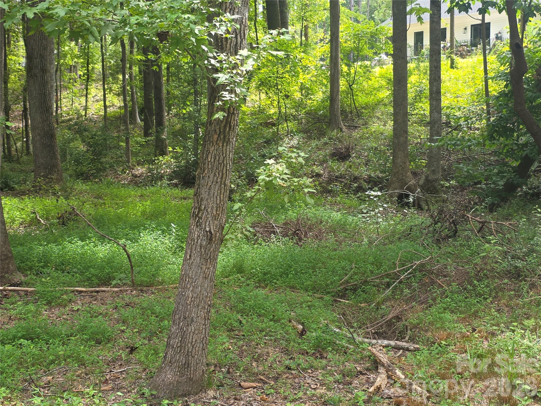 Image 18
