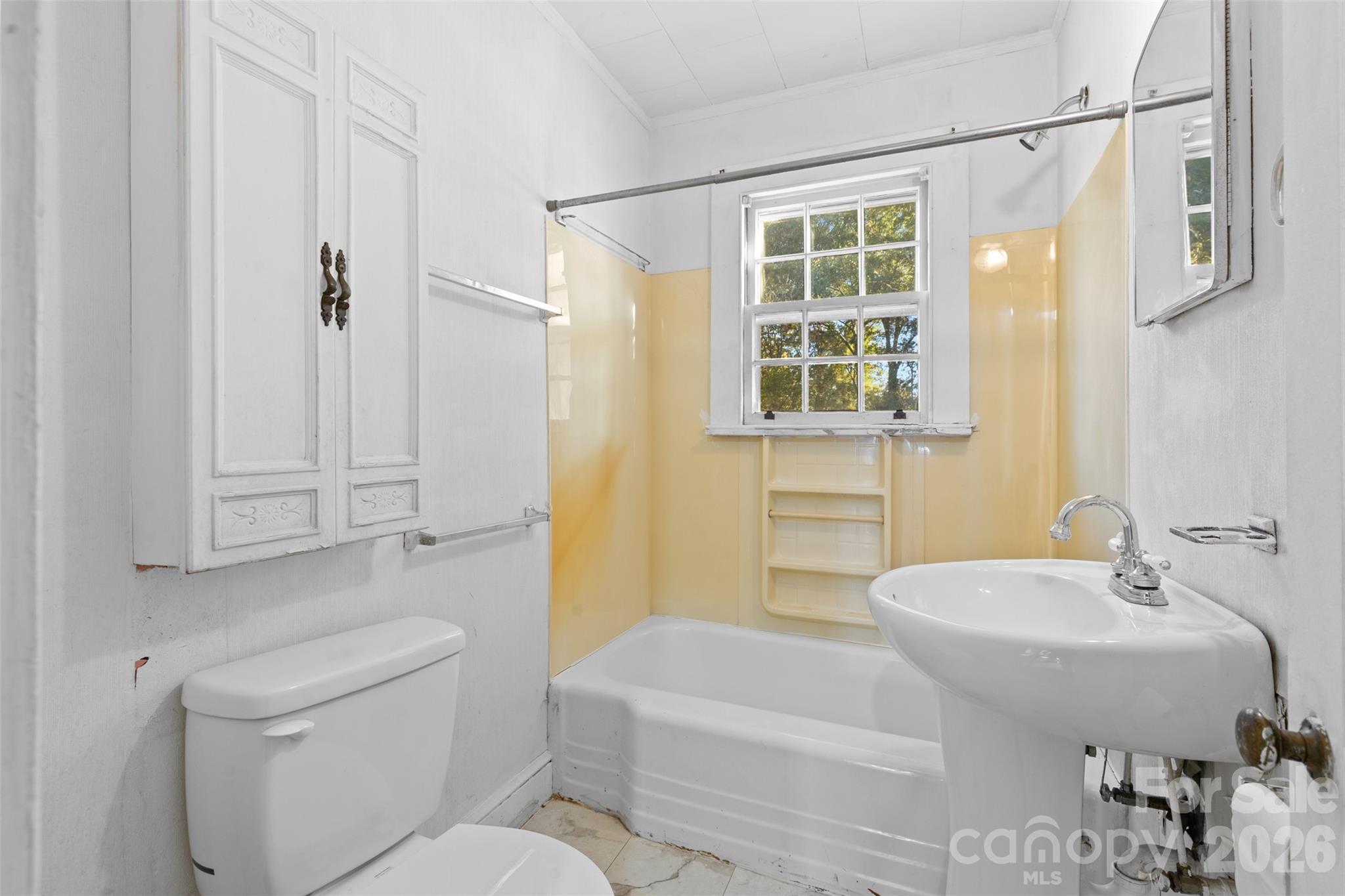 Image 16