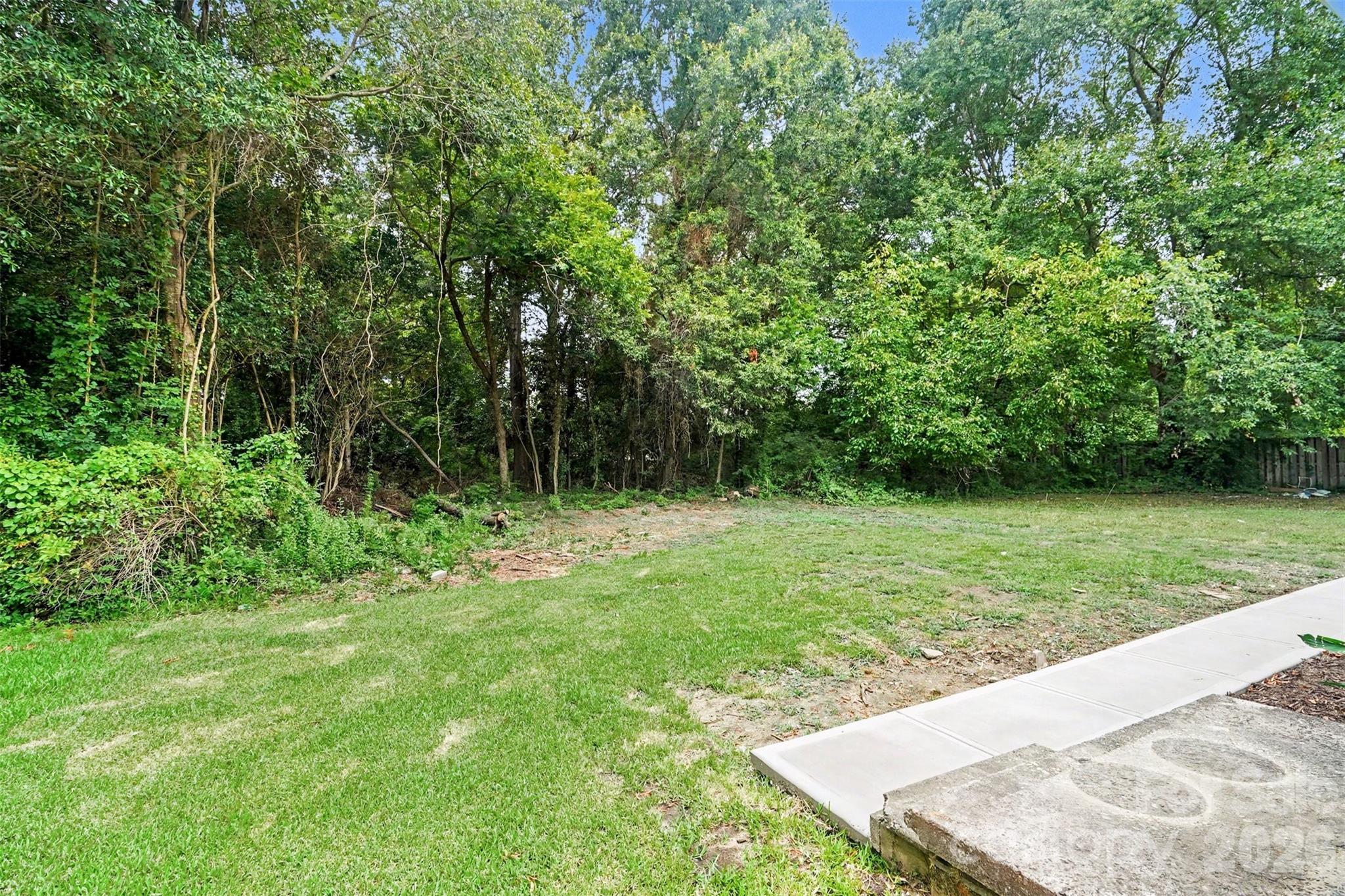 Image 25