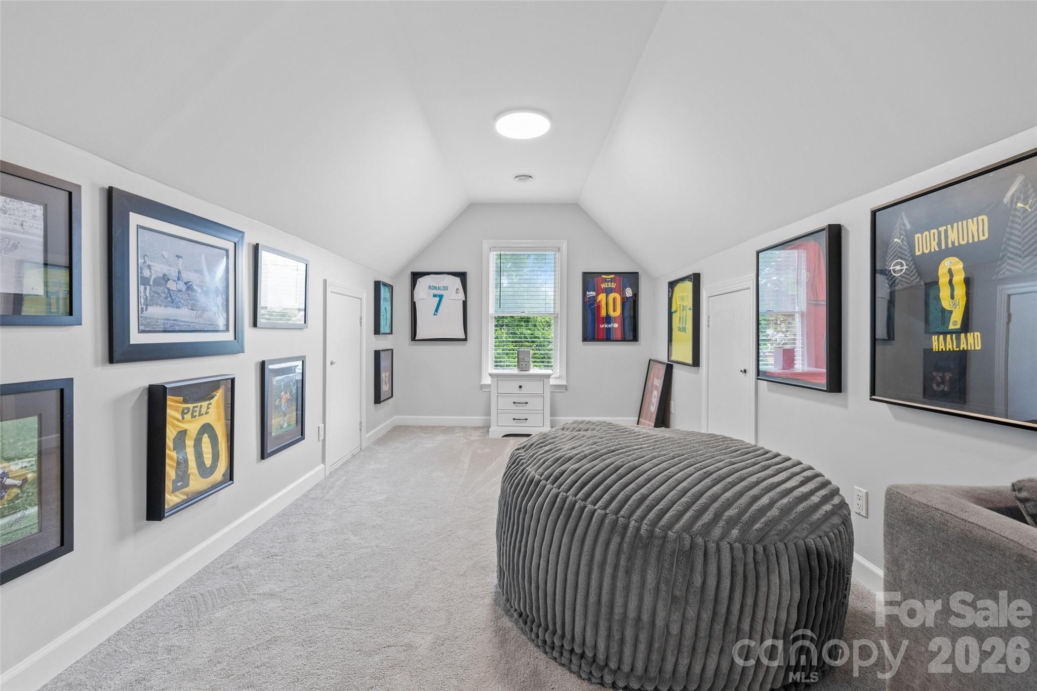 Image 37